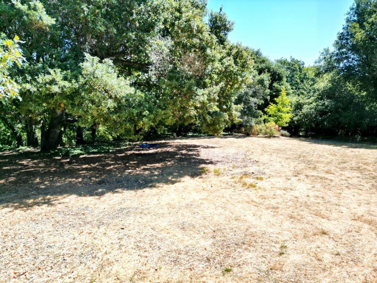 NEW Oak-Encircled Serenity HotTub BBQ HWY12 & 101 view 5
