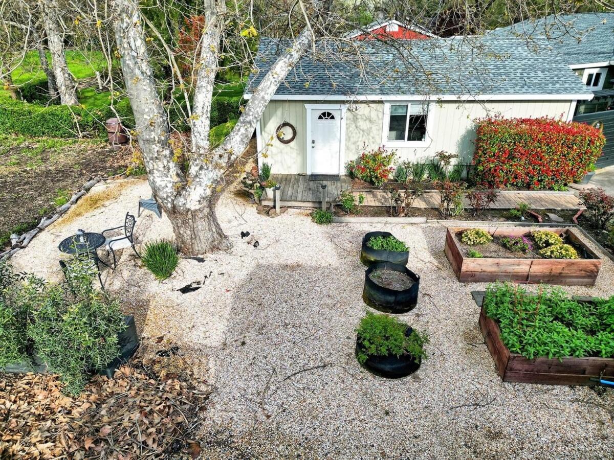 New Wine Country Vineyard View Guesthouse view 3