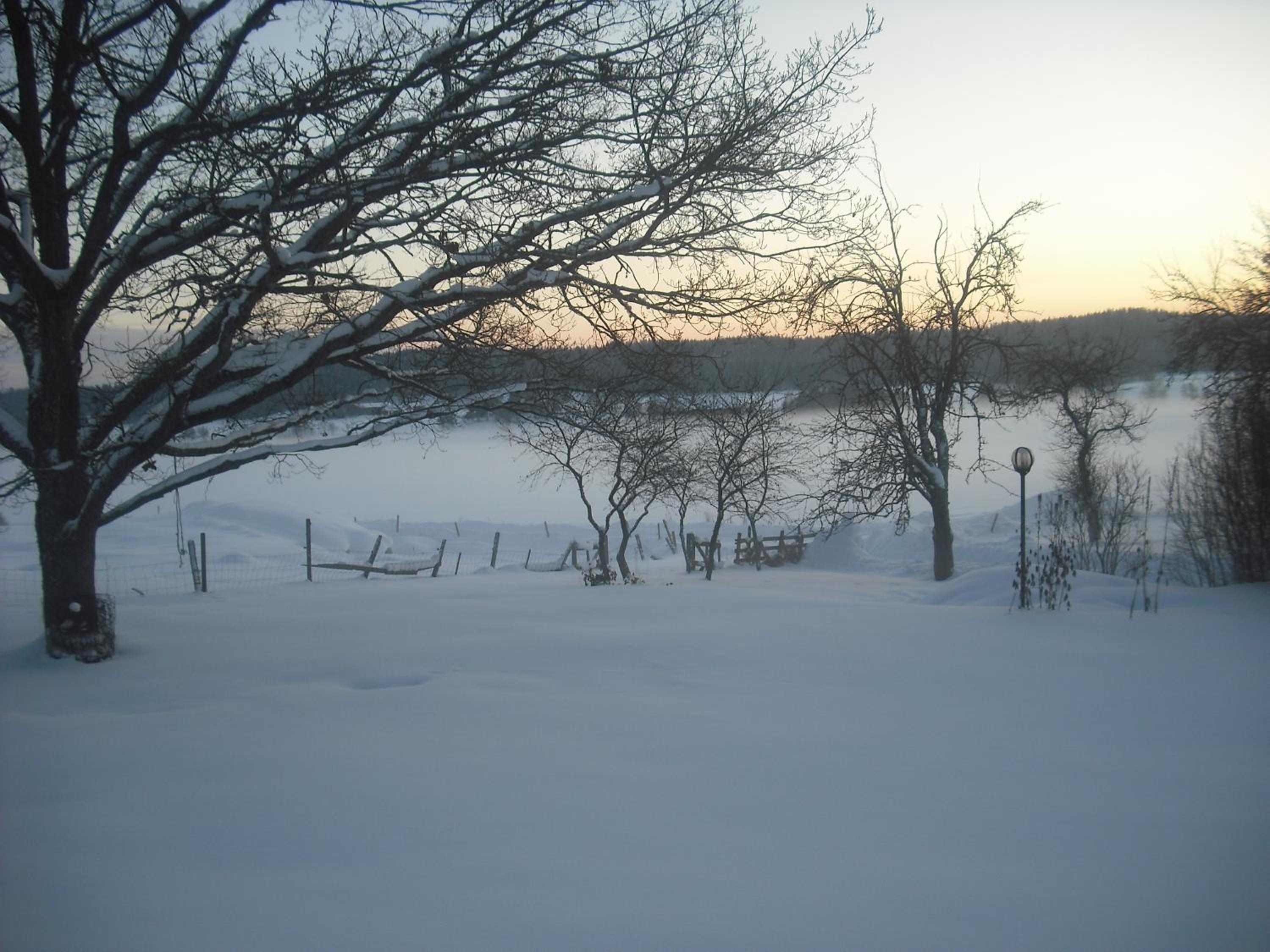 Photo 29