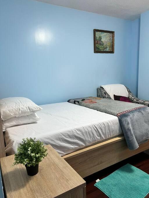 COZY Appartment in Toronto near Airport