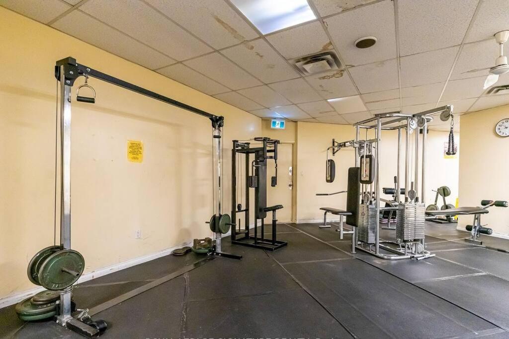 COZY Appartment in Toronto near Airport