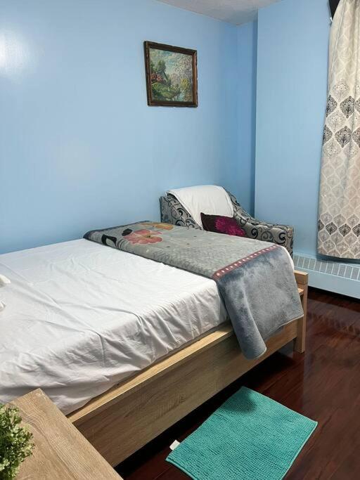 COZY Appartment in Toronto near Airport