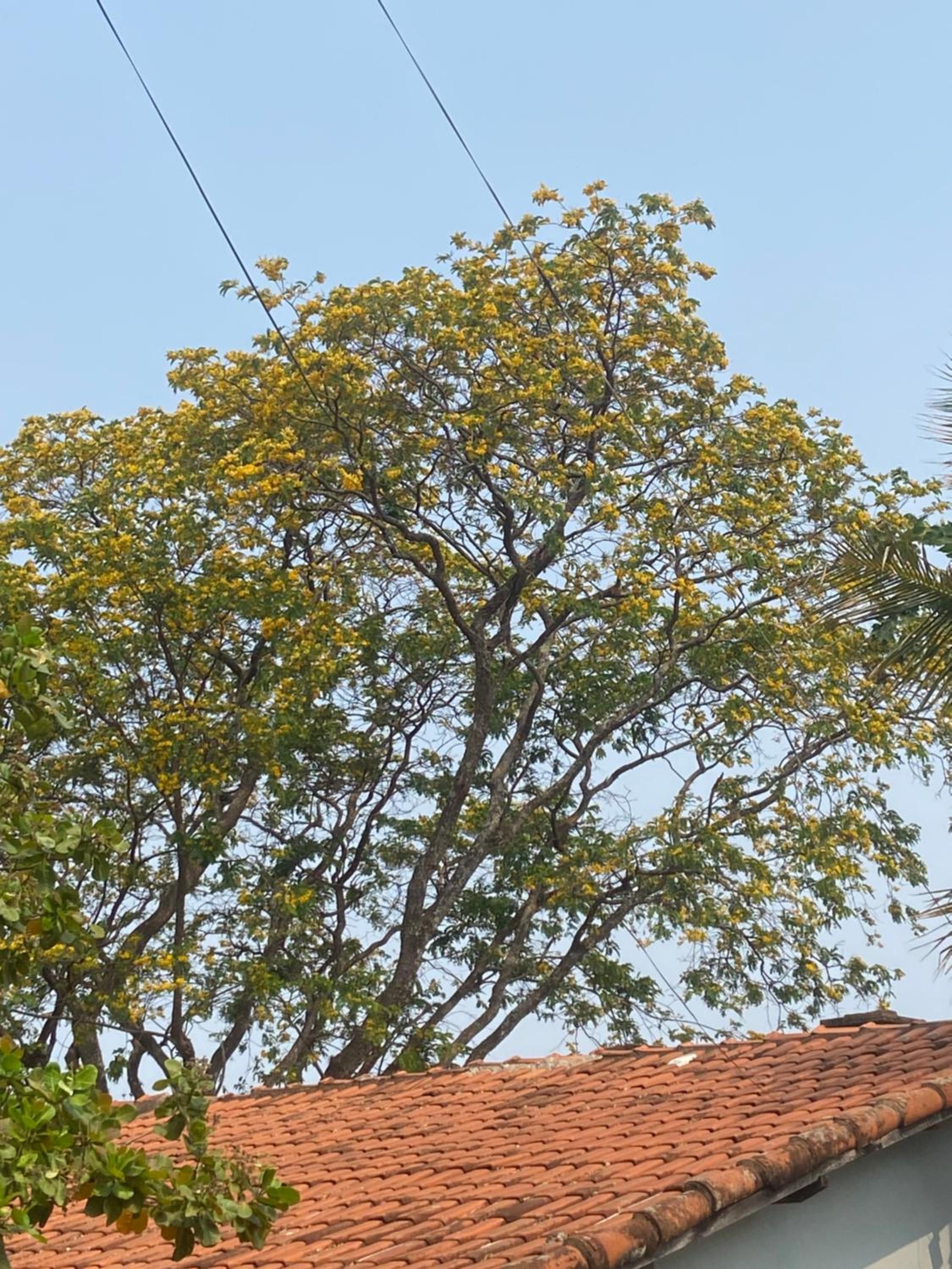 Quarto privativo chácara pé na roça