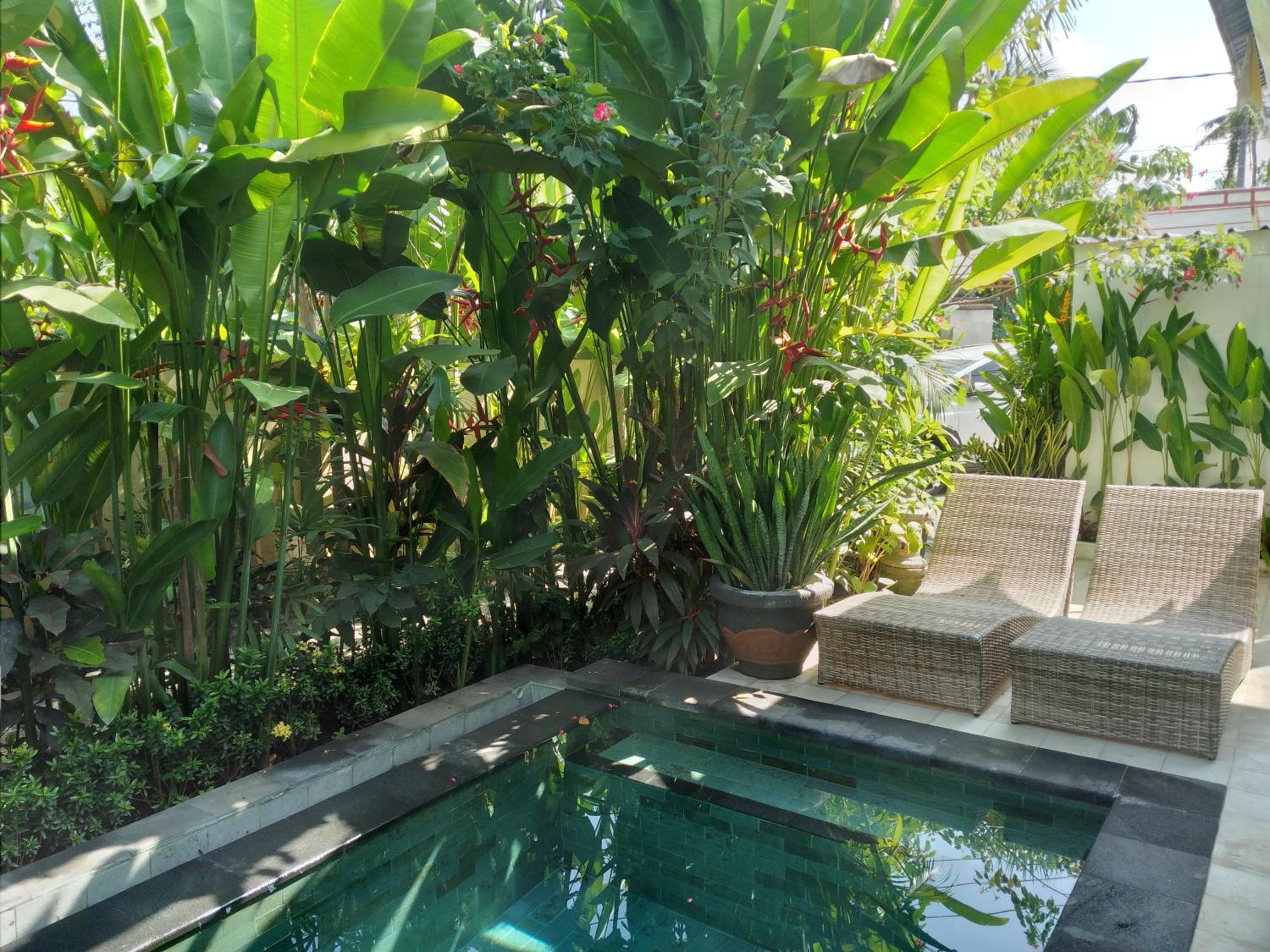 Lovina Garden Retreat