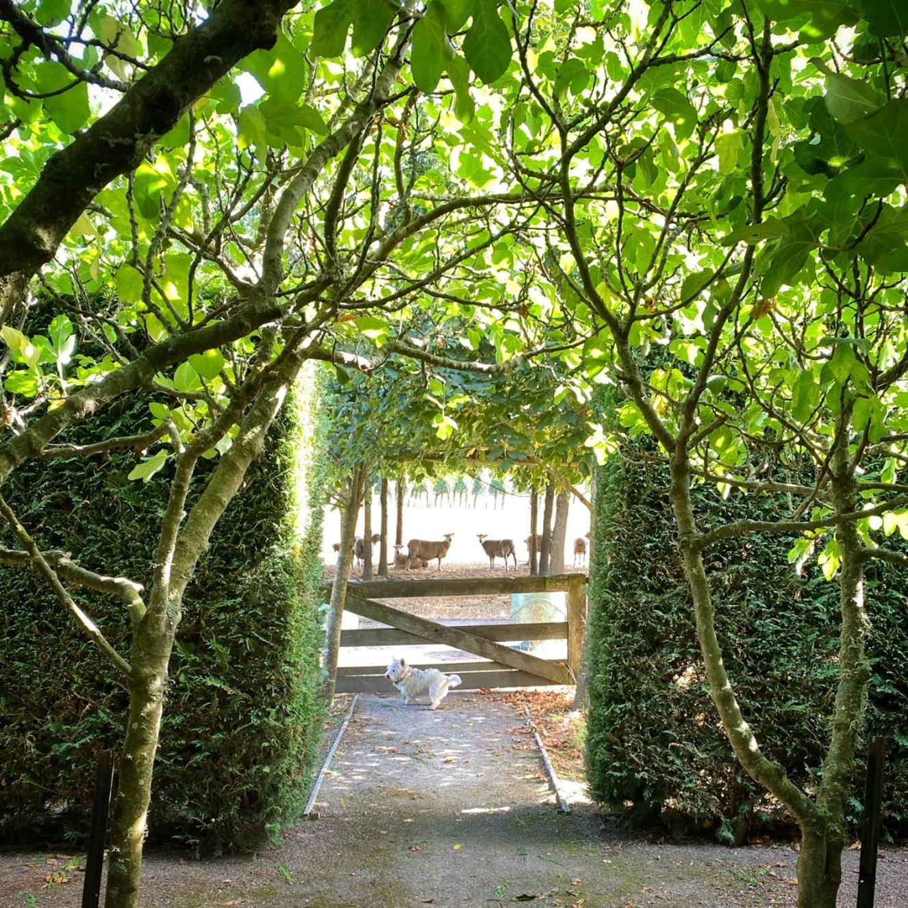 Photo 12