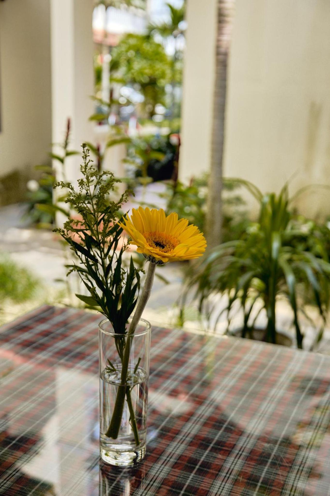 Hoi An Holiday Villa