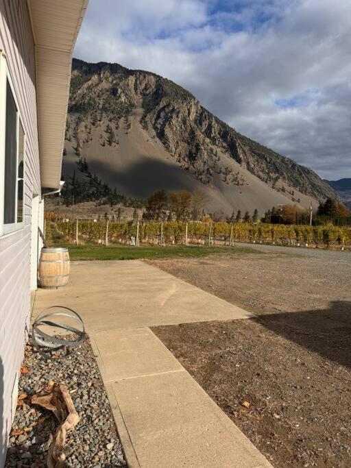 Blush Bliss A Peaceful Vineyard Escape
