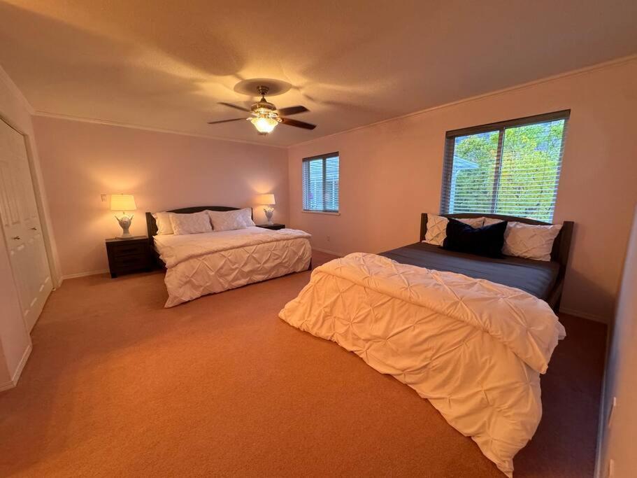 Blush Bliss A Peaceful Vineyard Escape