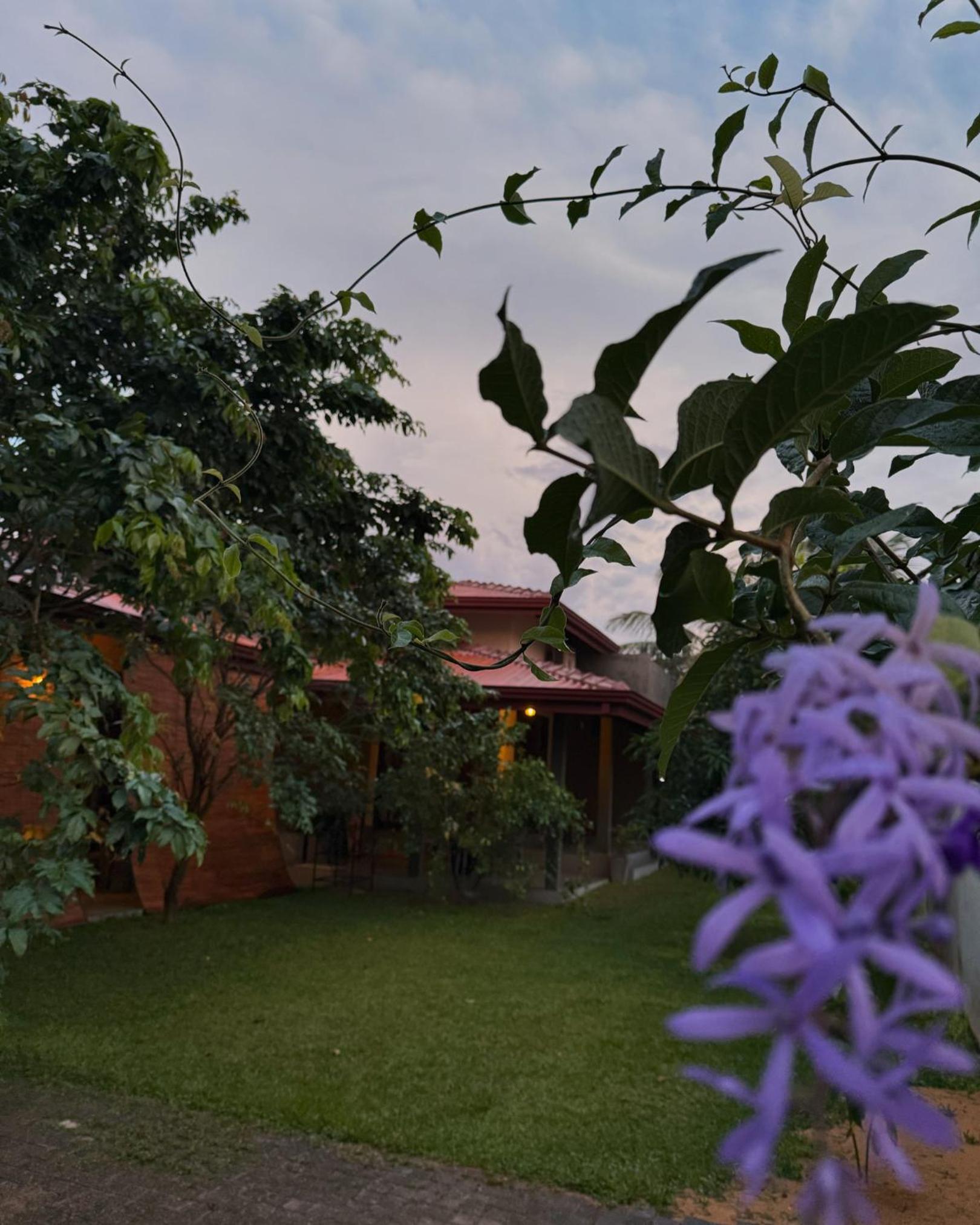Negombo 146 Homestay view 3