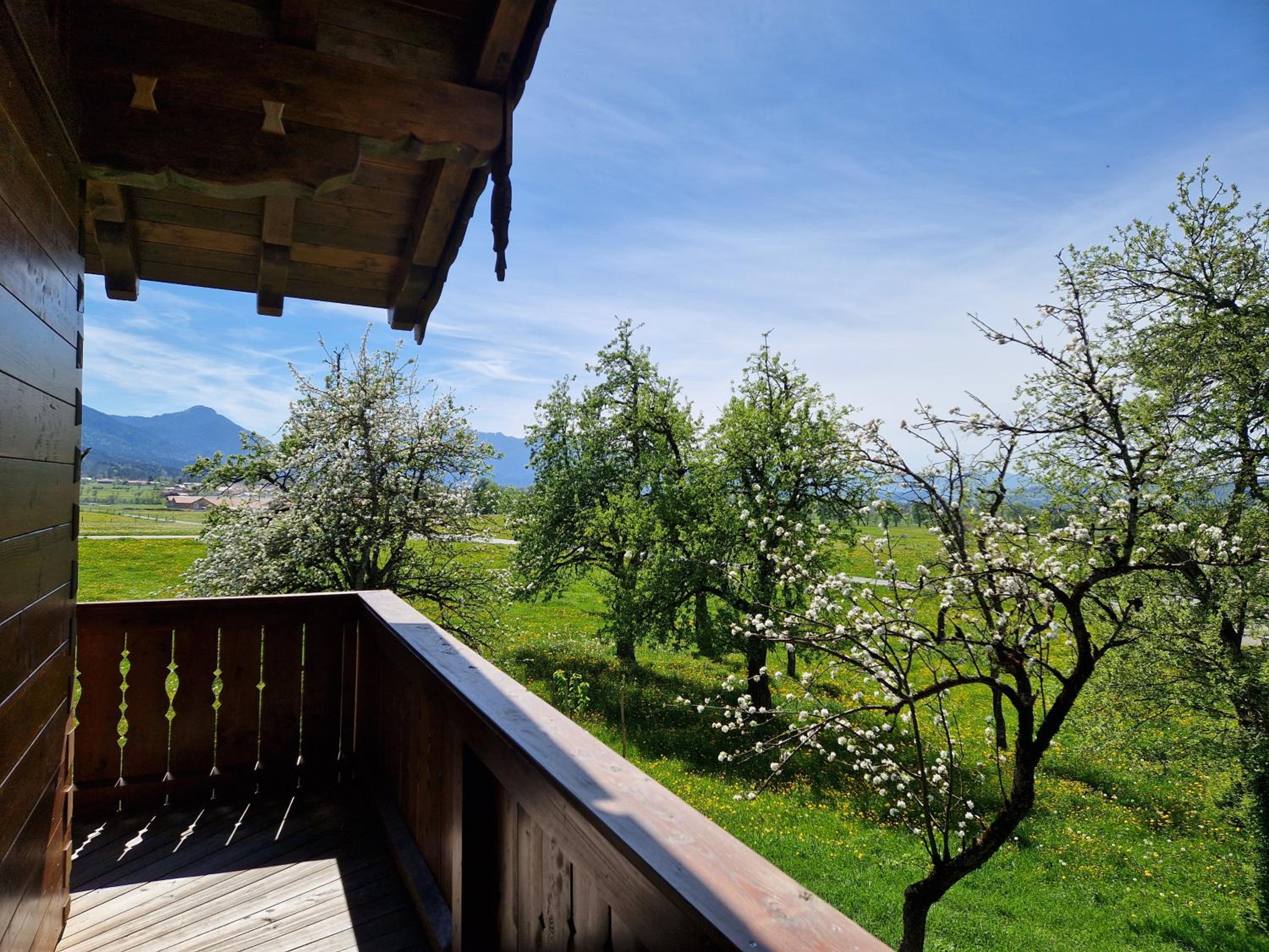 Bergeblick Bichl an der Ludlmühle