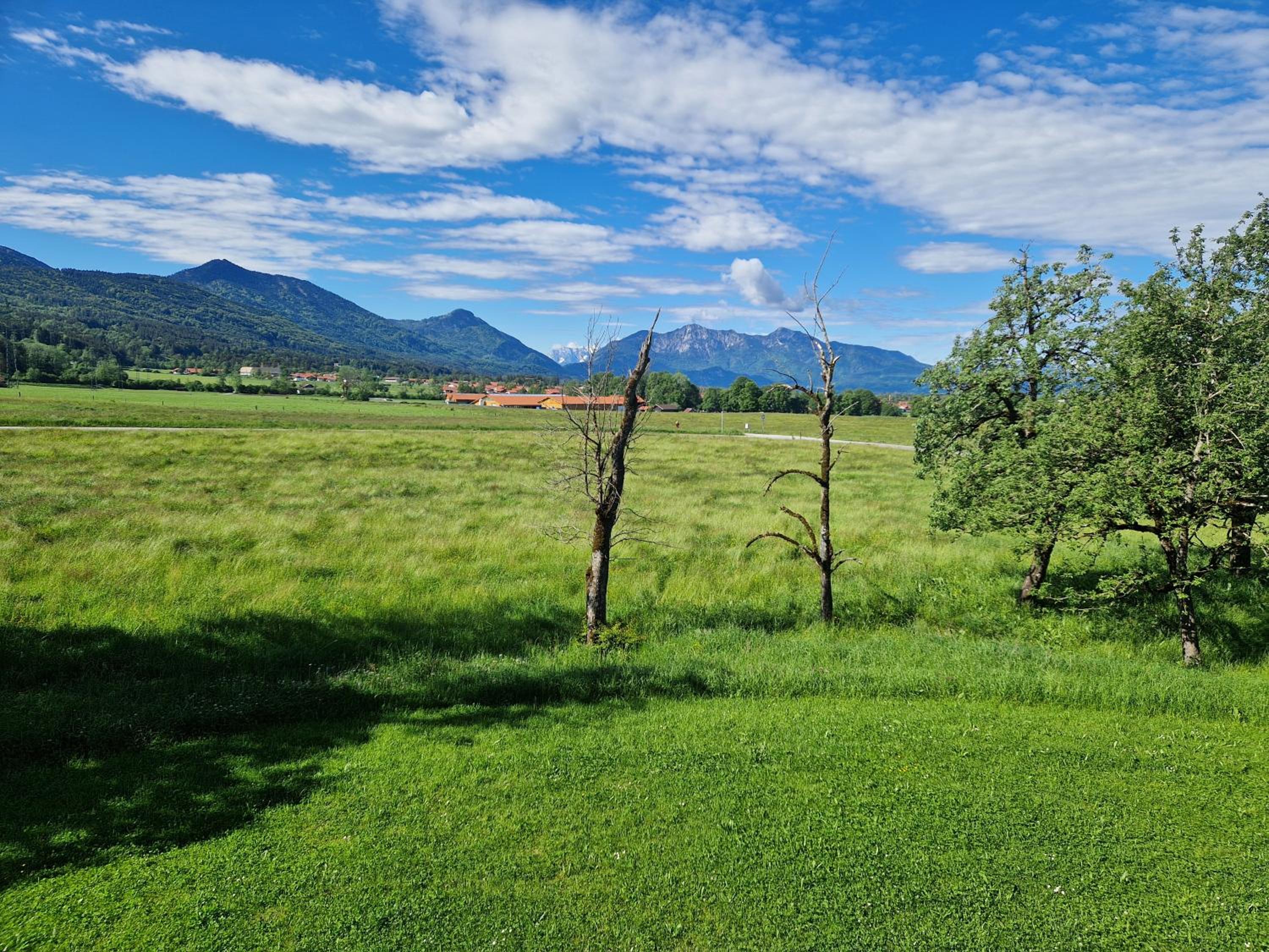 Bergeblick Bichl an der Ludlmühle