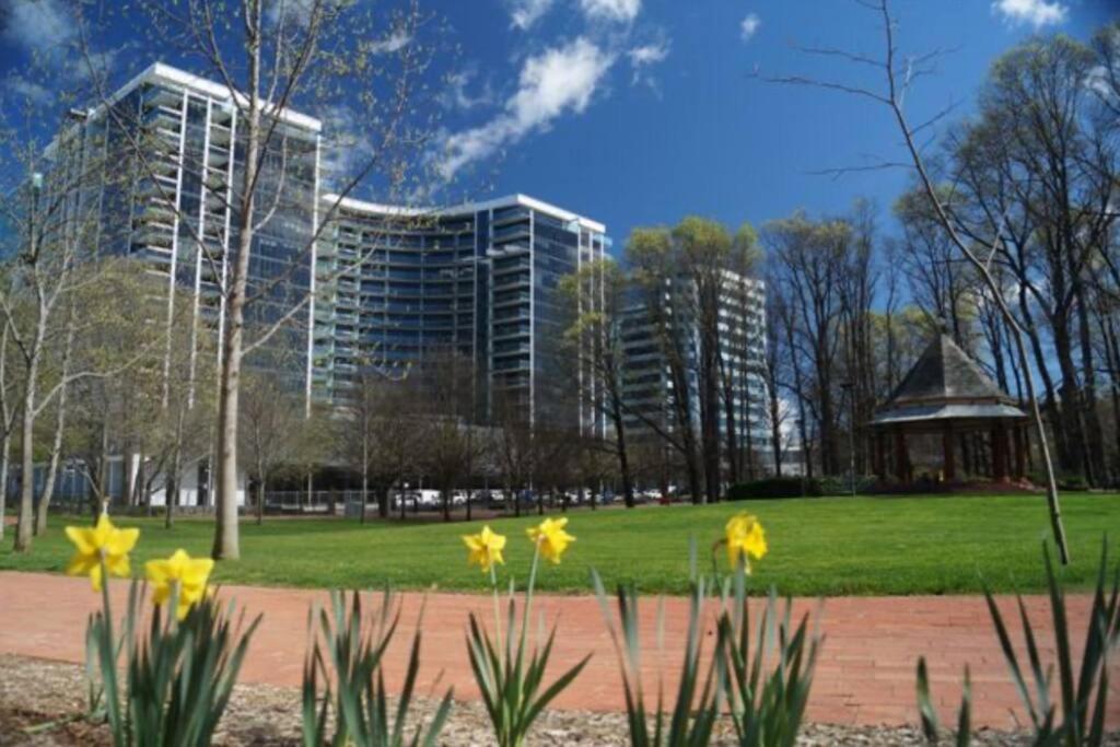 Hotel Manhattan Luxe Views L14 Pool Spa Gym 1br 1 Bath 1 Secure Parking Central City