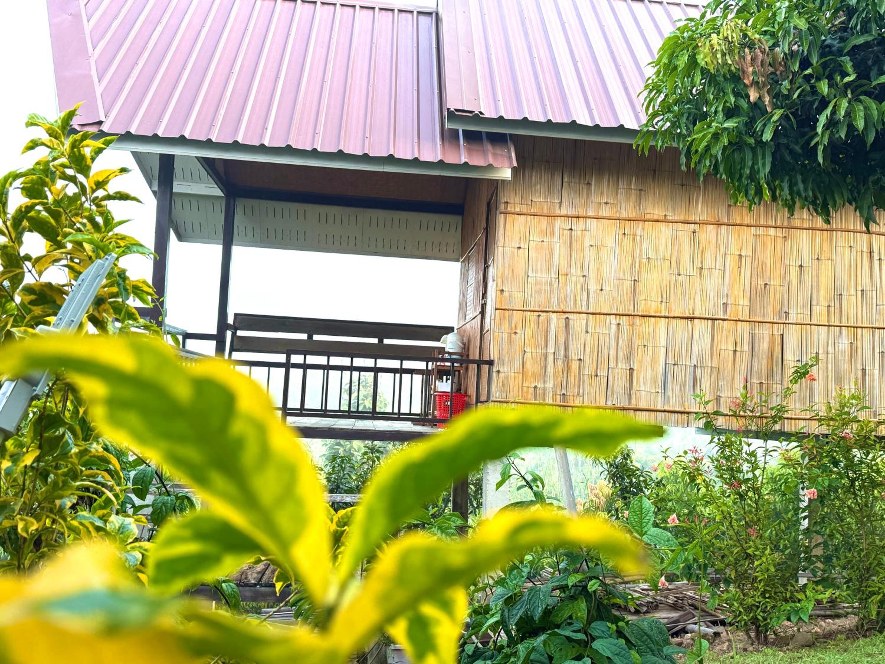 Doicherngngam Home stay
