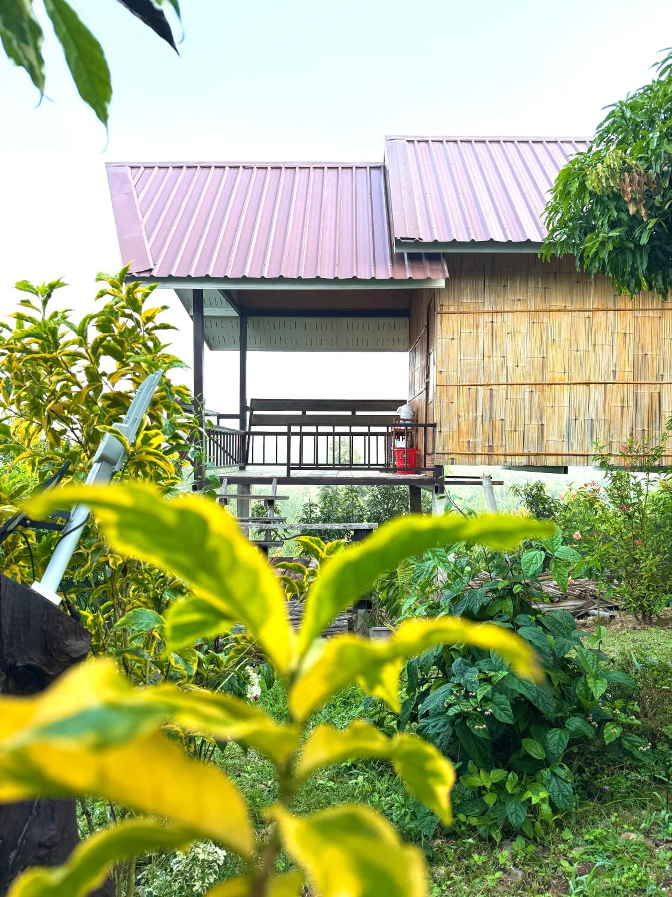 Doicherngngam Home stay