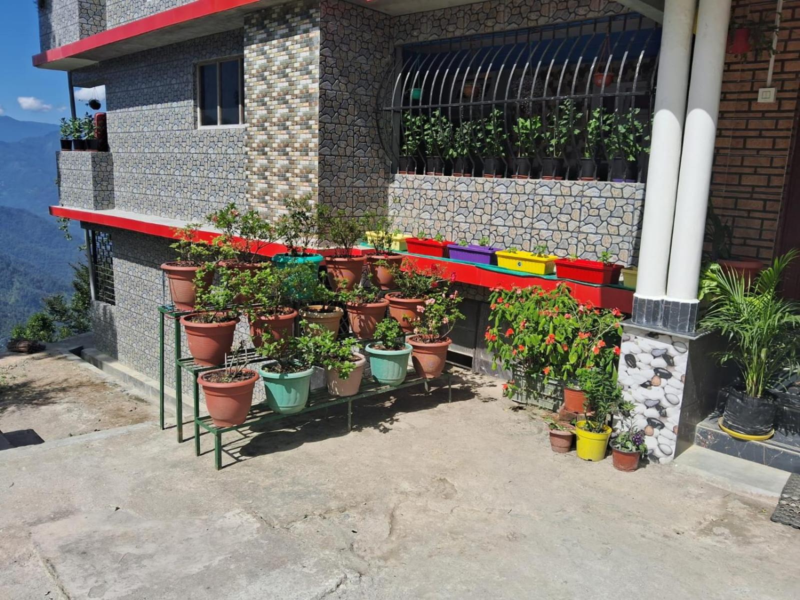 Photo 21