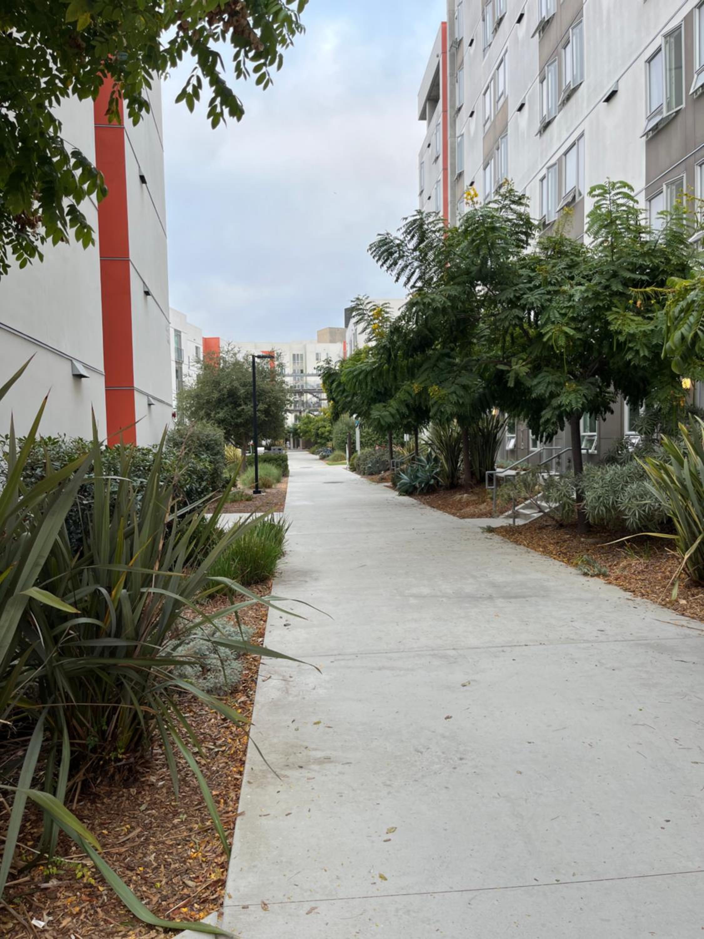 2 Bedroom Apt for UC San Diego affiliate, short-term sublease view 4