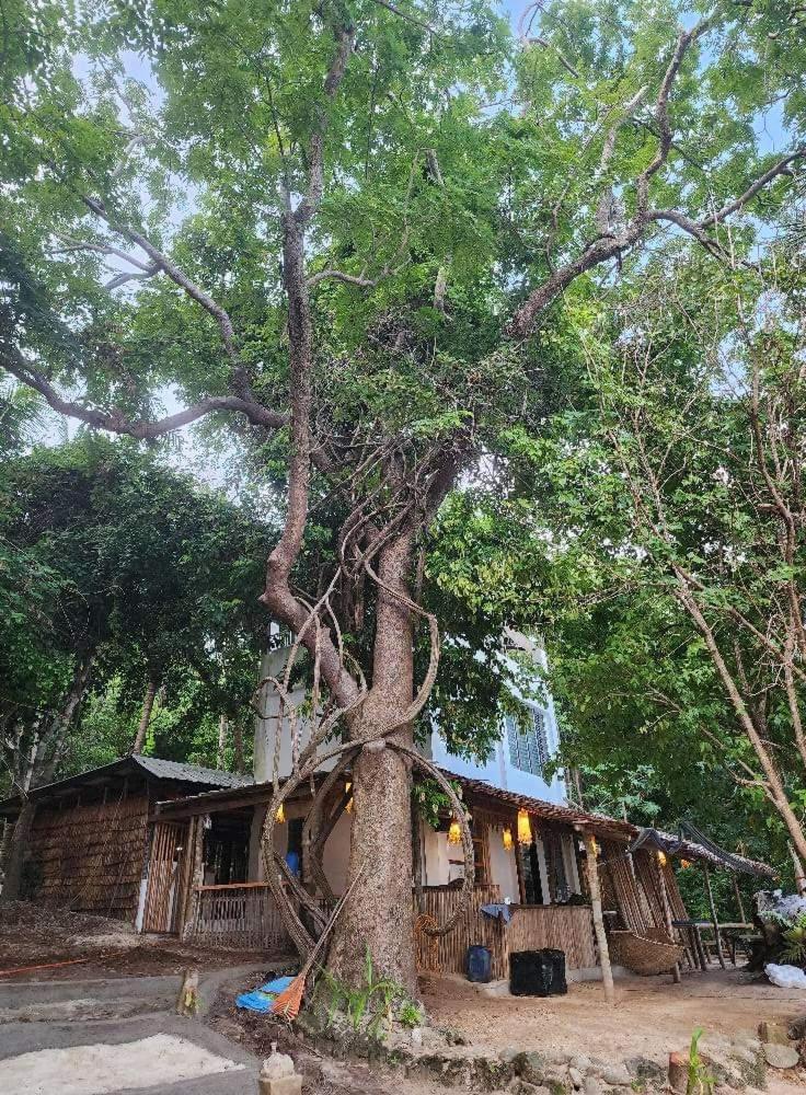 Bice Hostel Darocotan