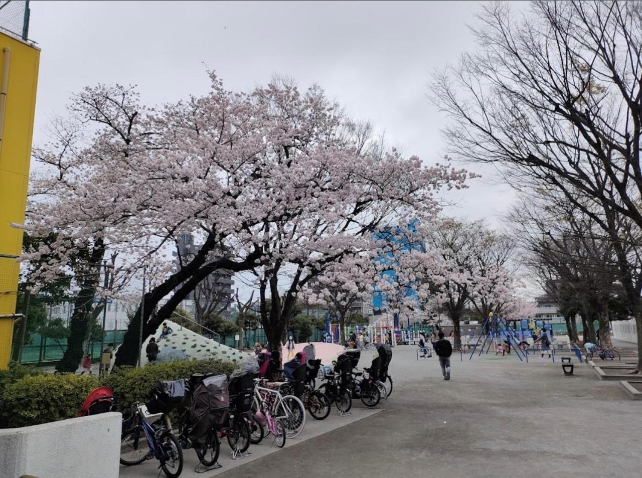 Pal sky tree residence