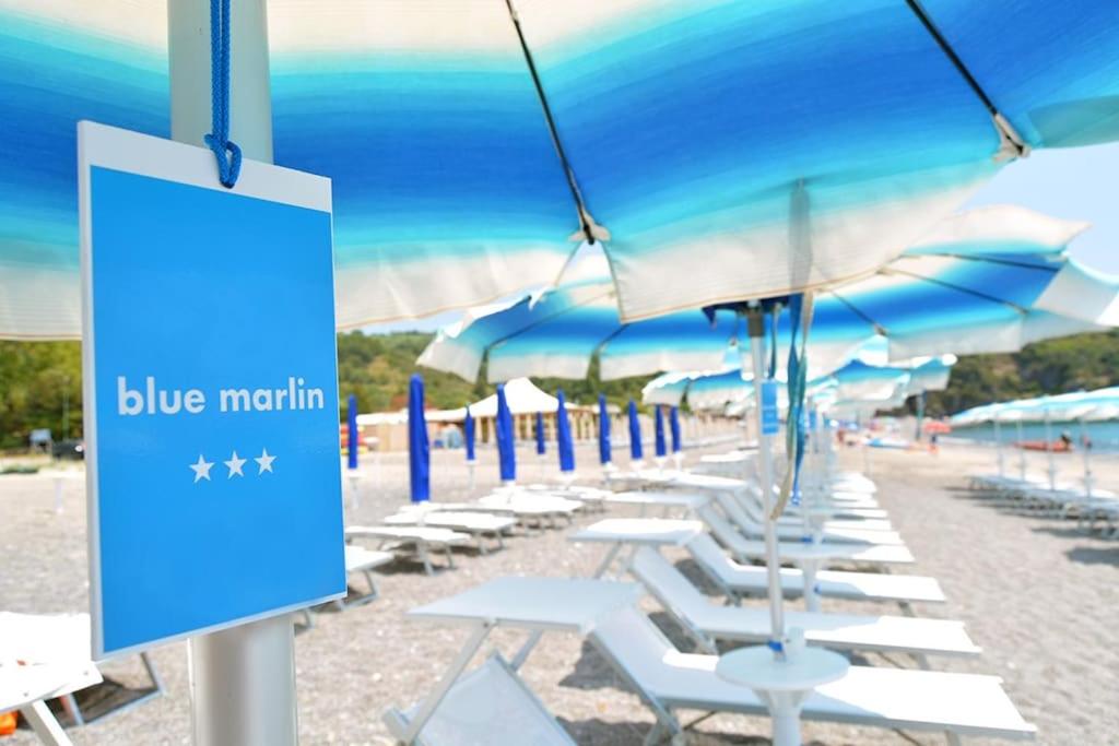 Blue Marlin view 5
