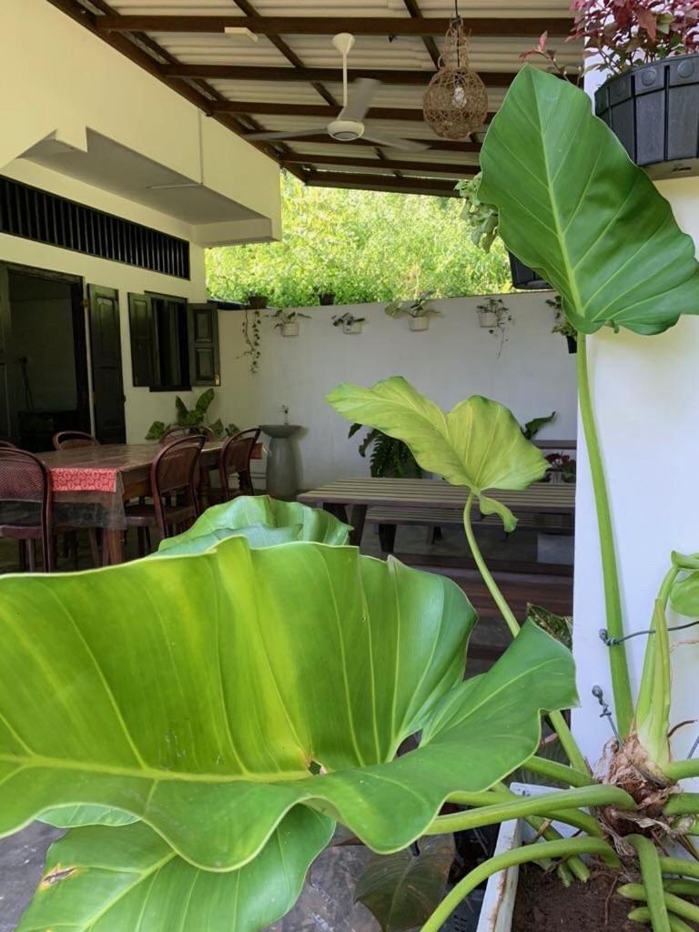 Villa Rukaththana UNAKURUWA view 2