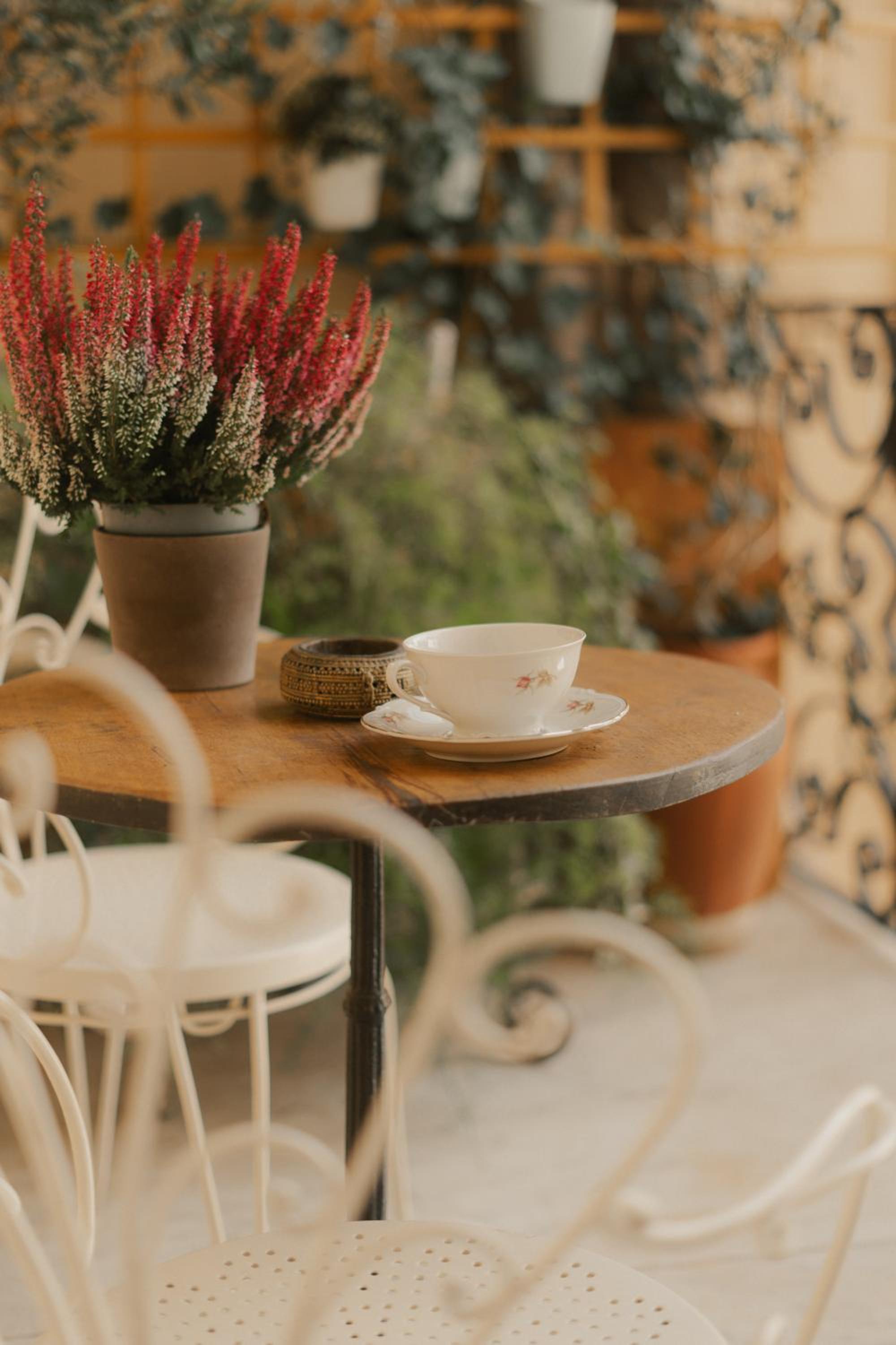 Casa Ramé en Genova — balance & terrace