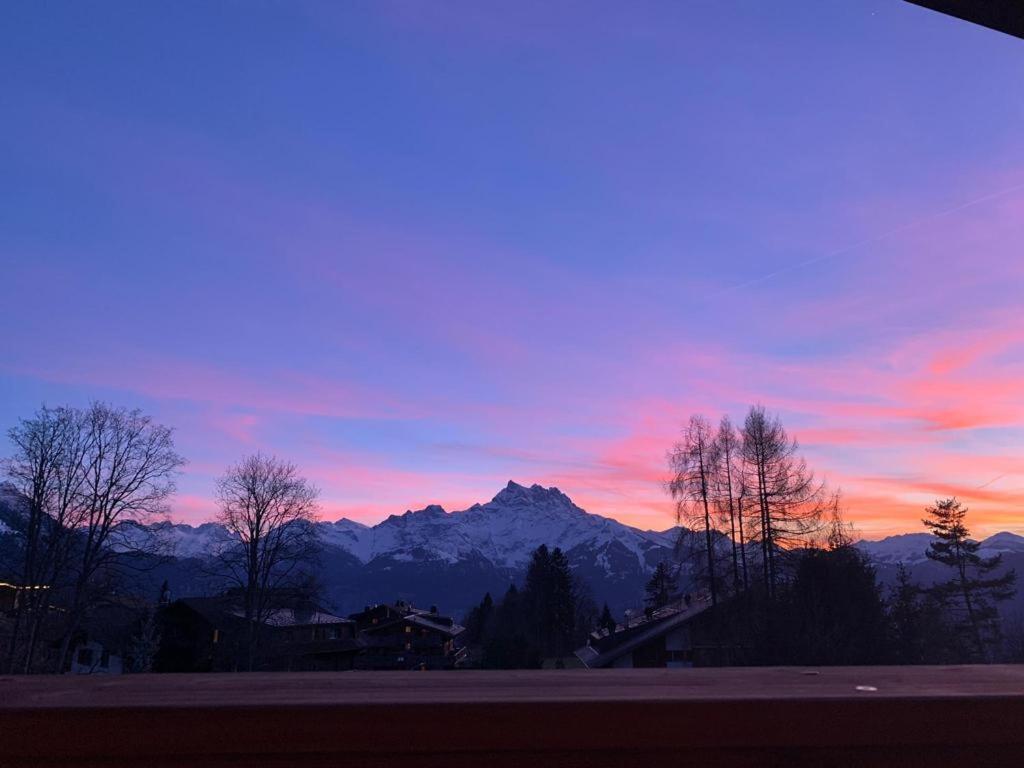 Chalet La Renarde