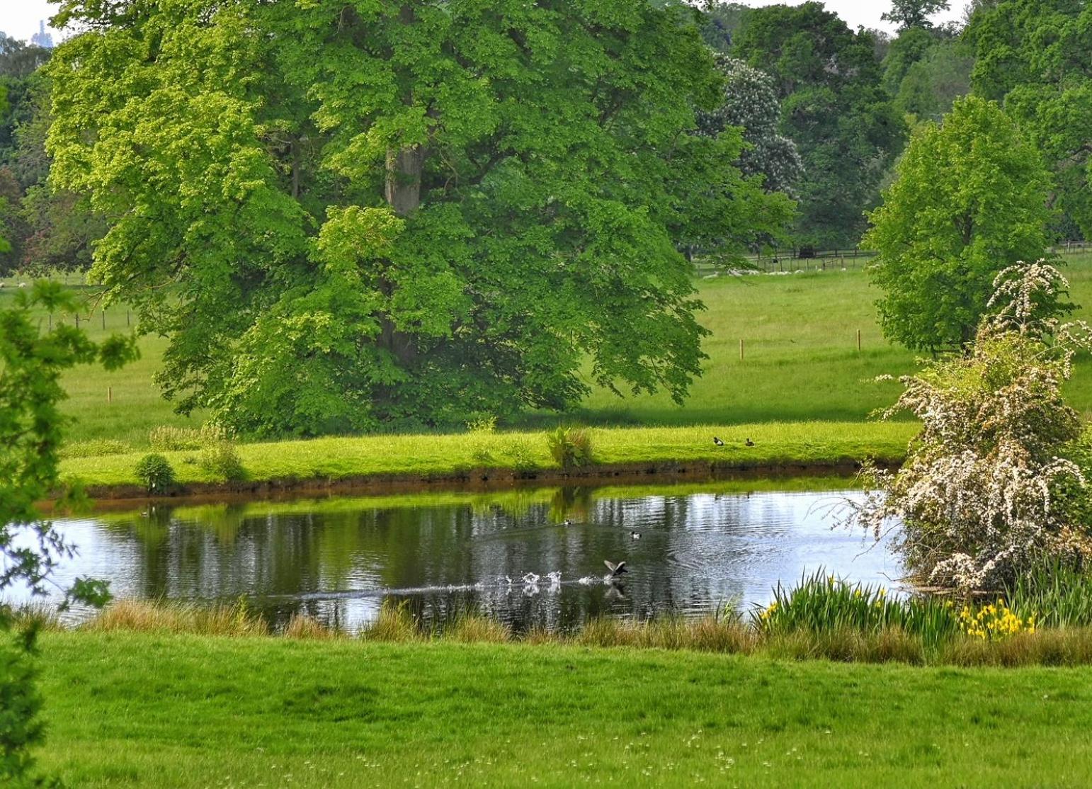 Flore House view 5
