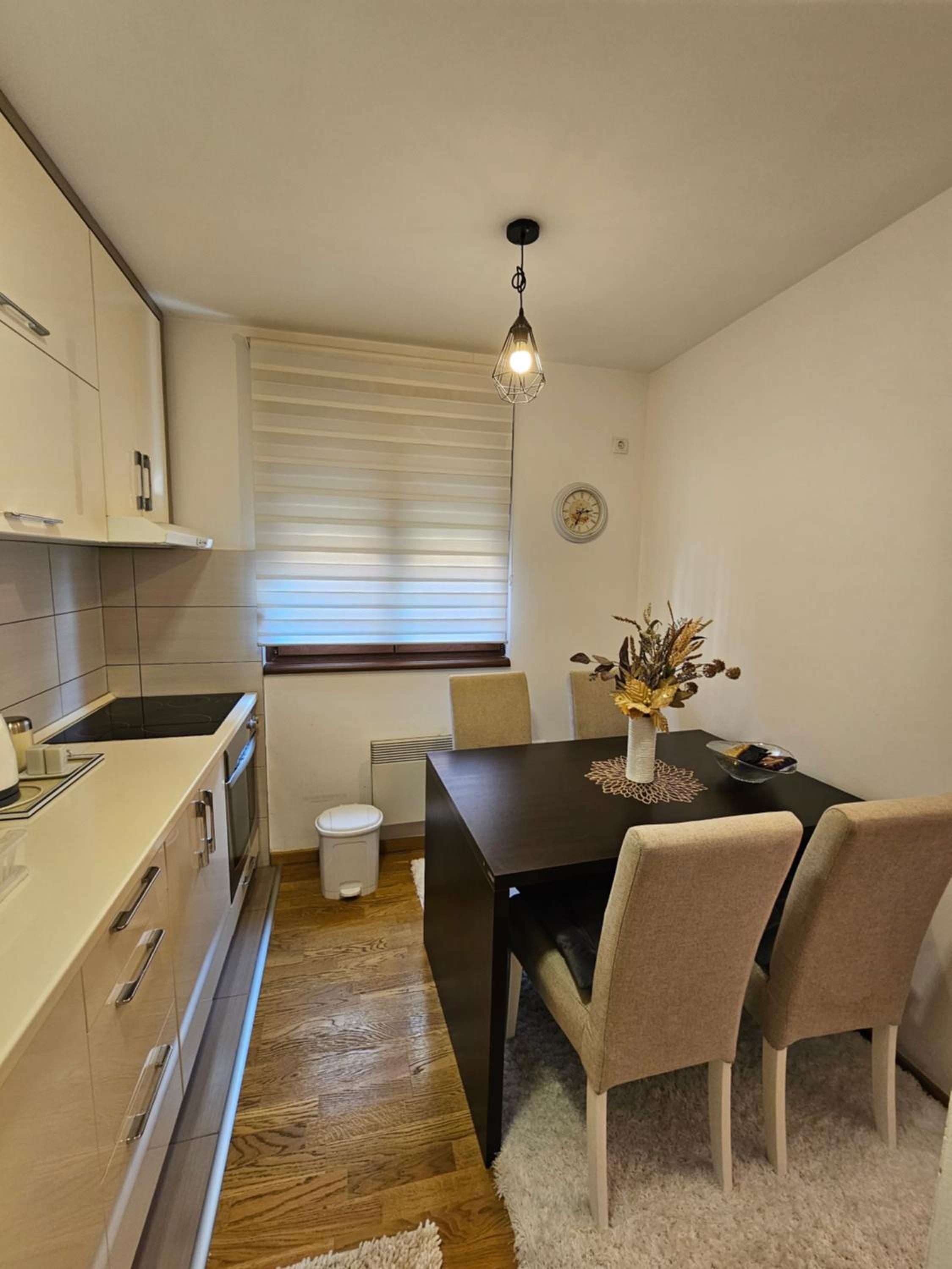 Vila Darija_apartman 8_Radović view 5