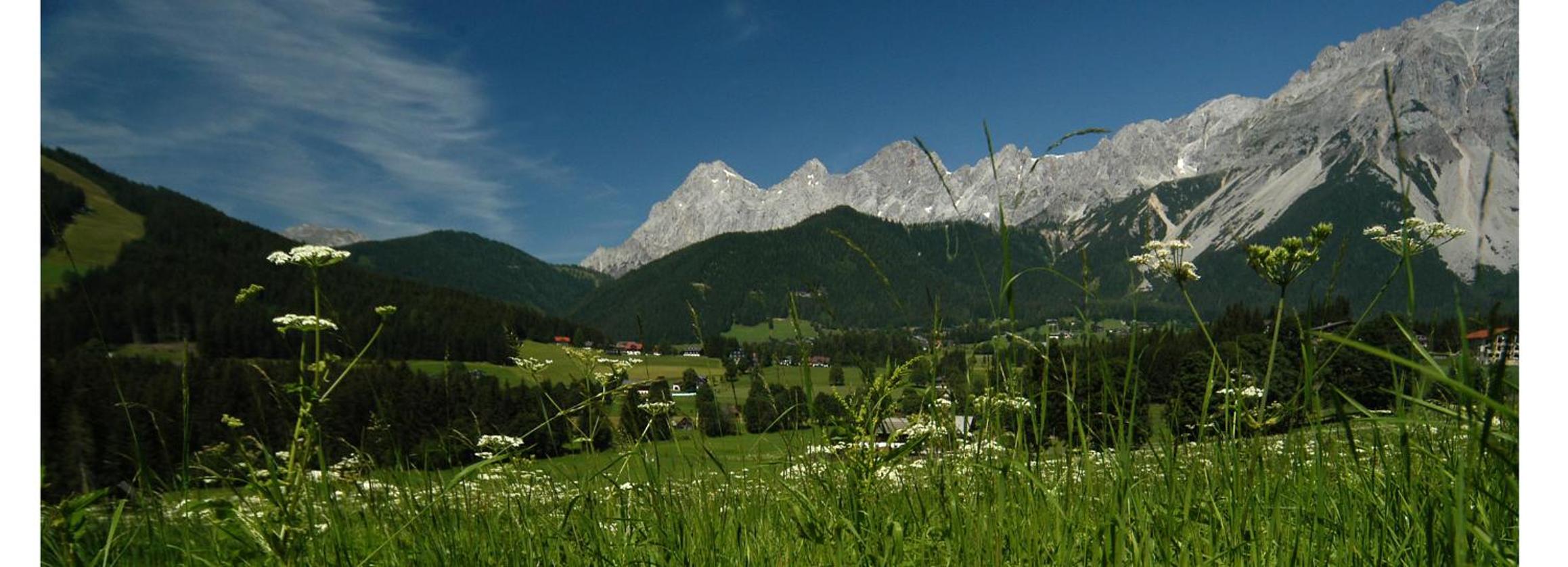 Haus Hermine
