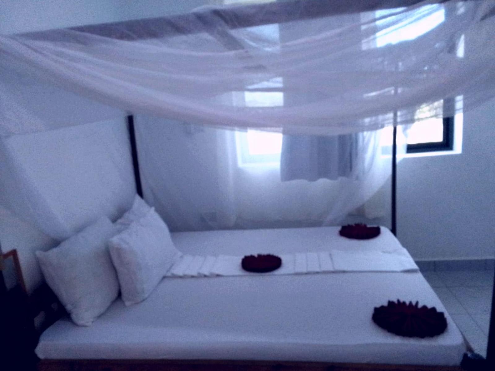 The Ark Of Diani Escape view 2