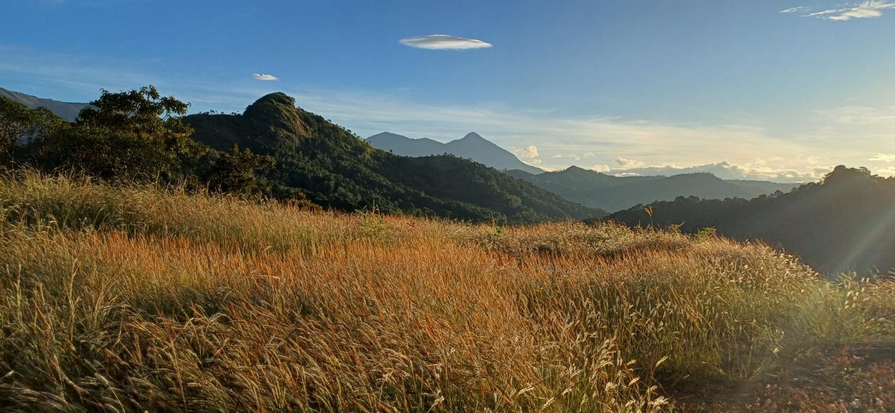 Munnar Green Home view 5