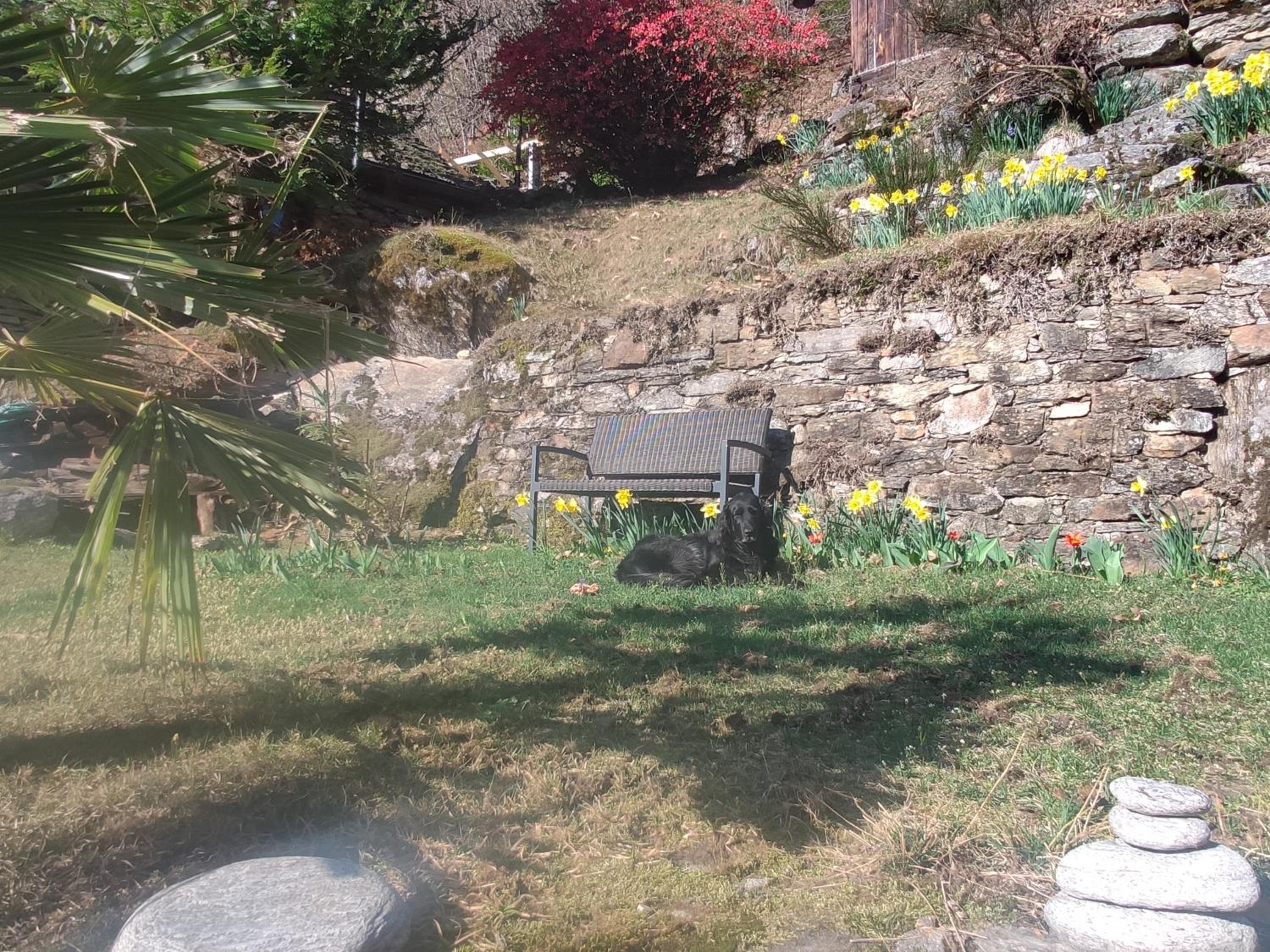 Oasis di Riposa
