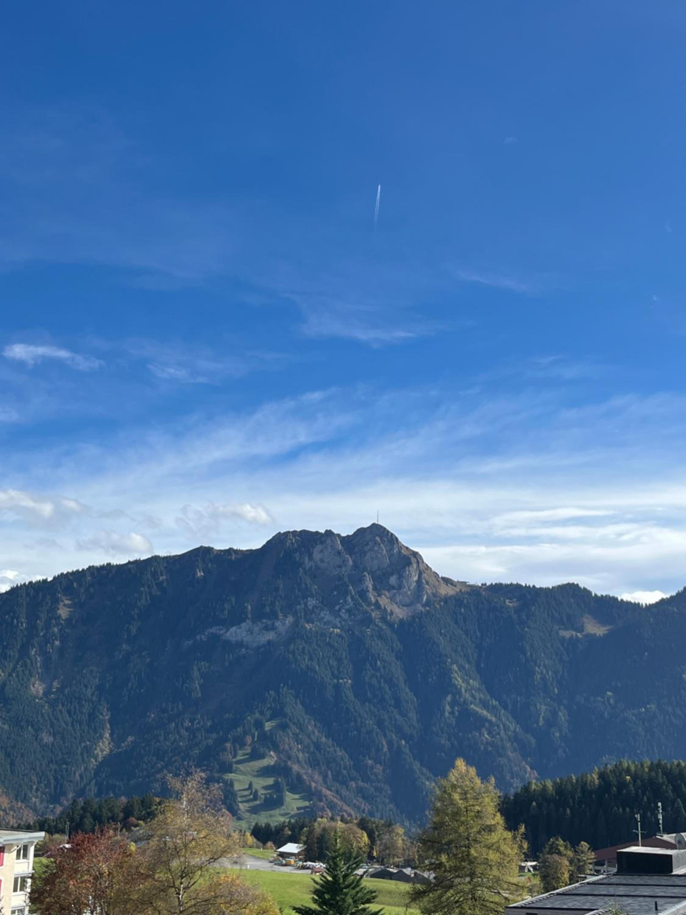 Pine Perch Leysin City Center