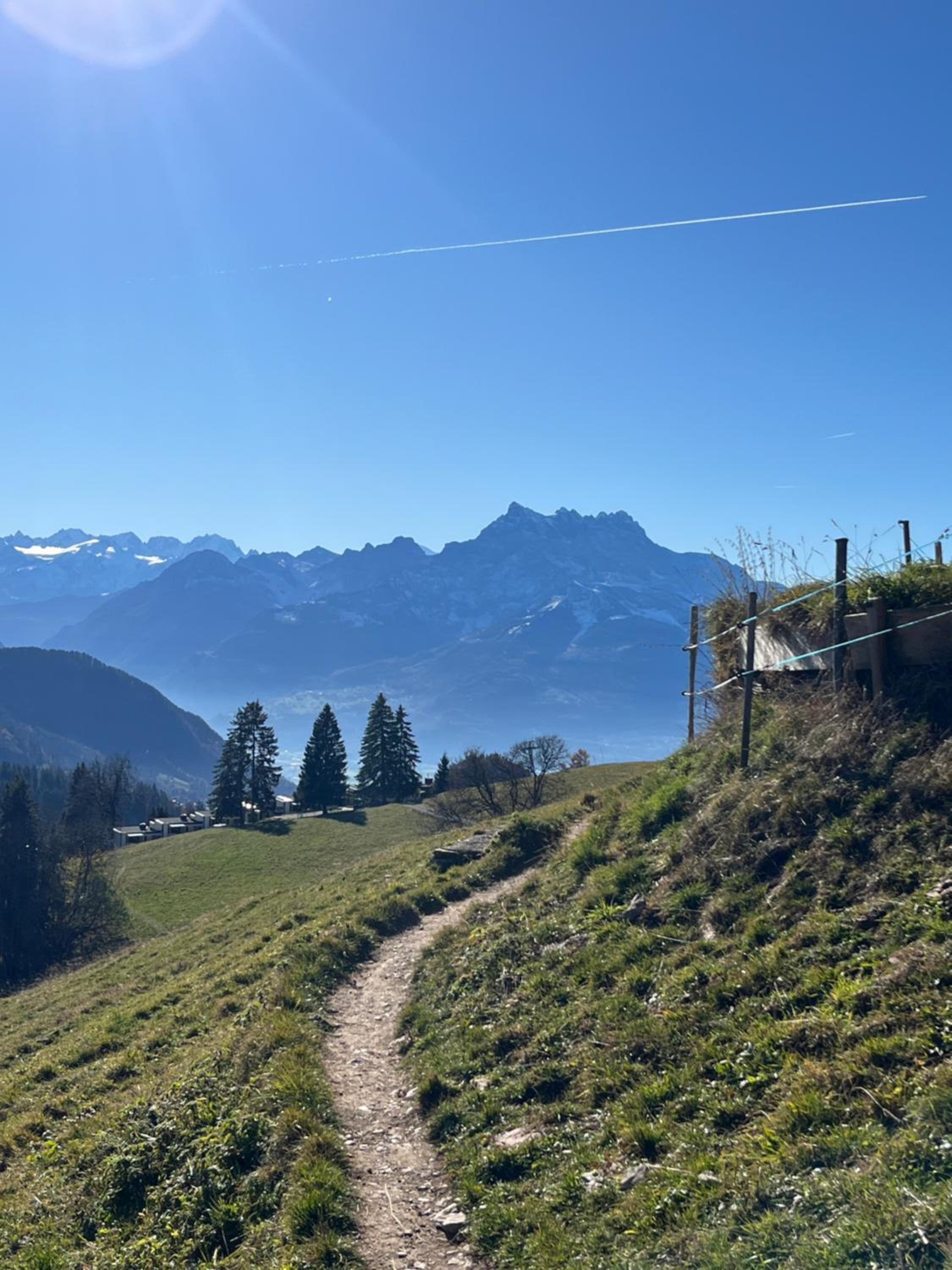 Pine Perch Leysin City Center