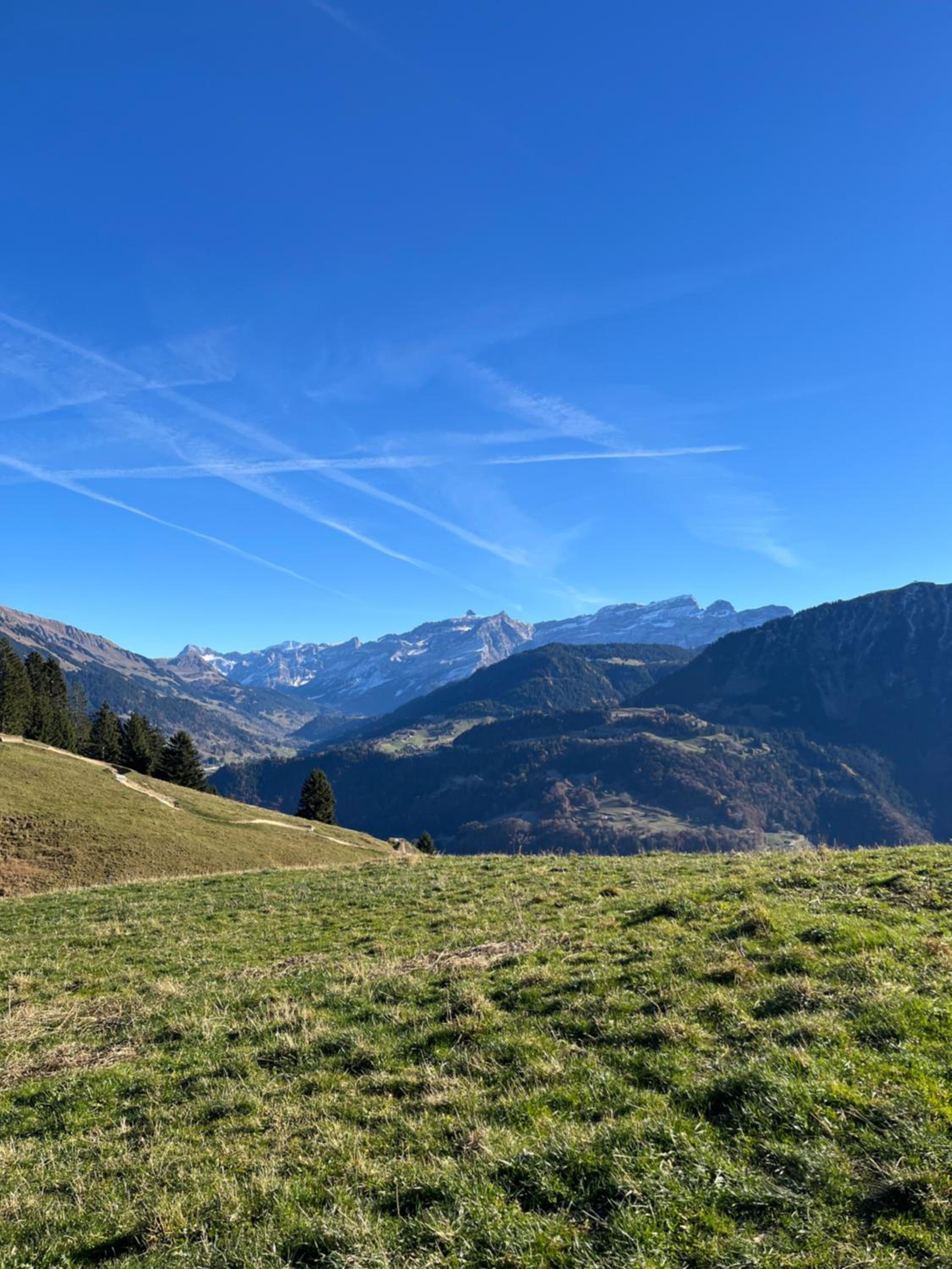 Pine Perch Leysin City Center