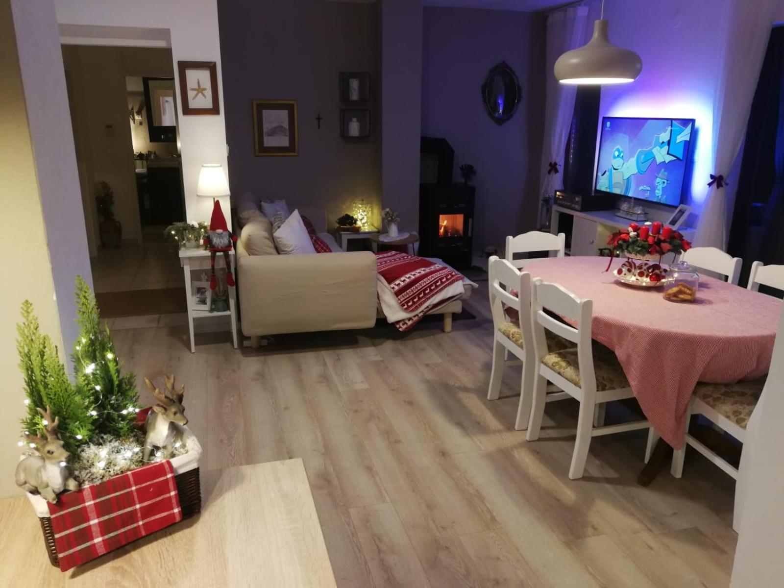Apartmani Sandra i Davor Lonic view 4