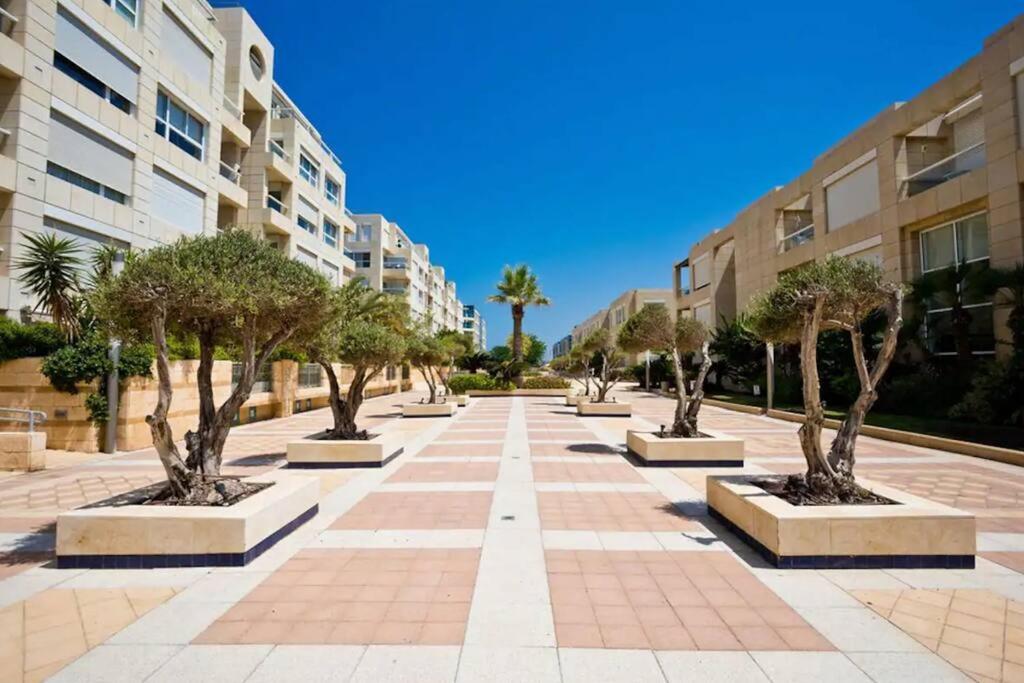 Hertselia Port Dream