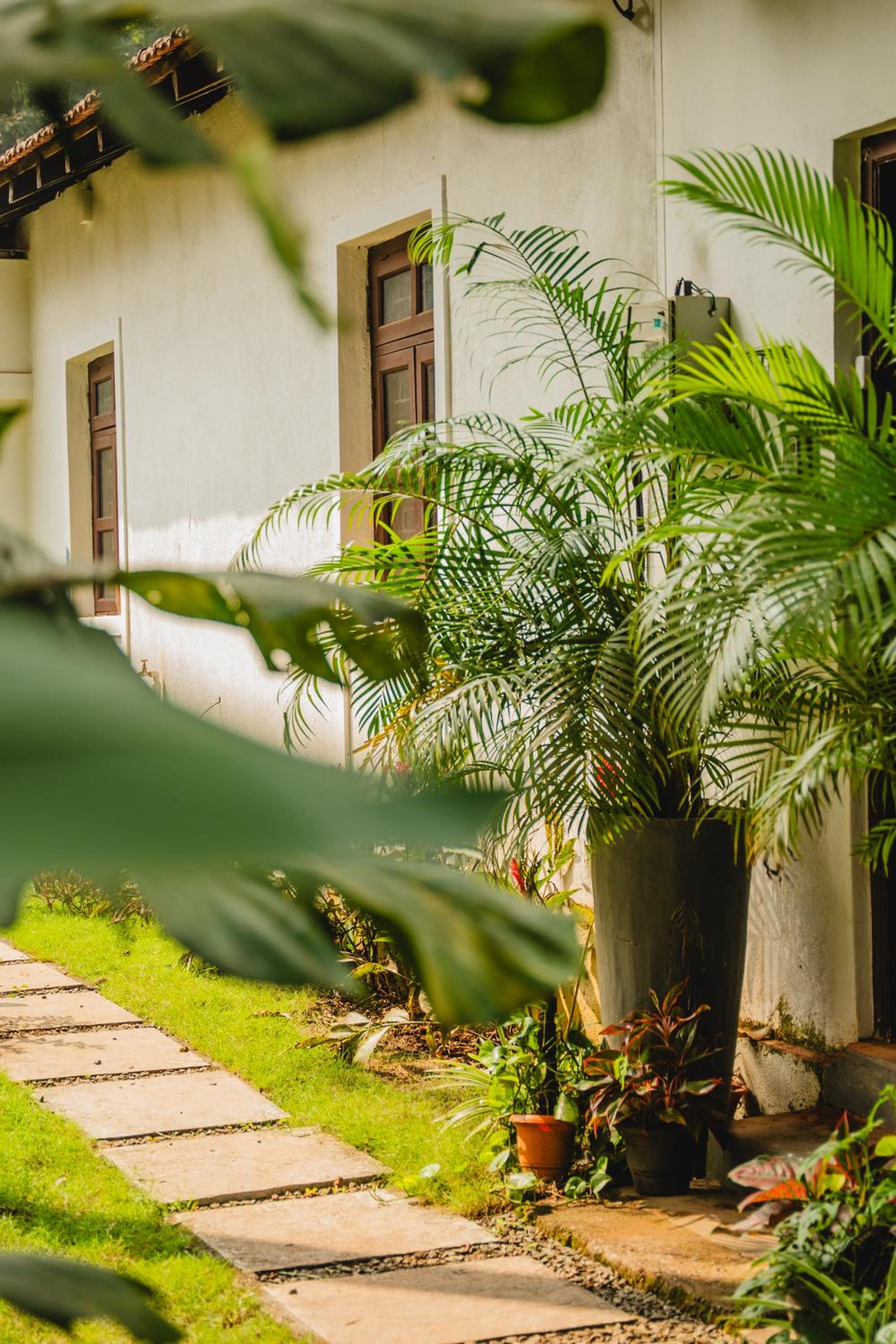 Casa Camotim view 5