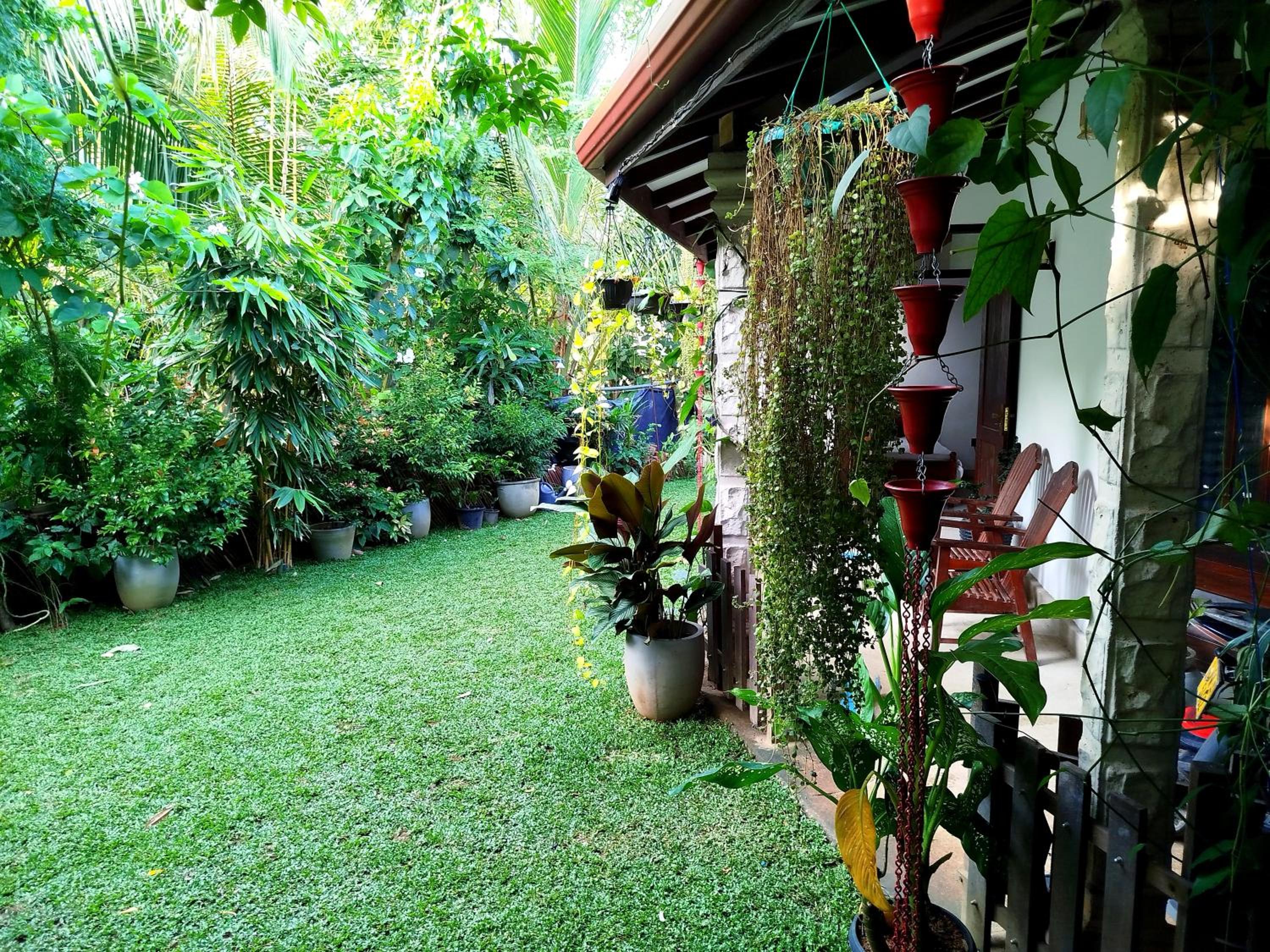 Summer Breeze view 3