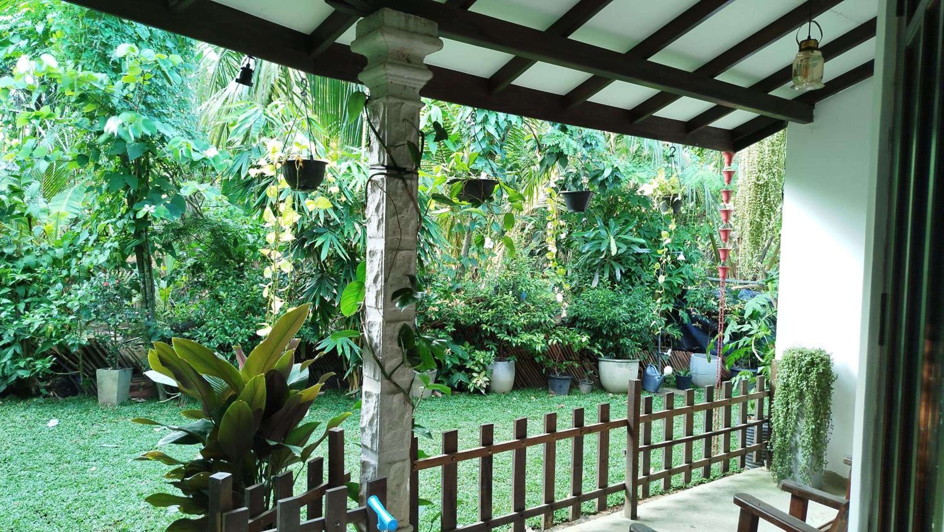 Summer Breeze view 5