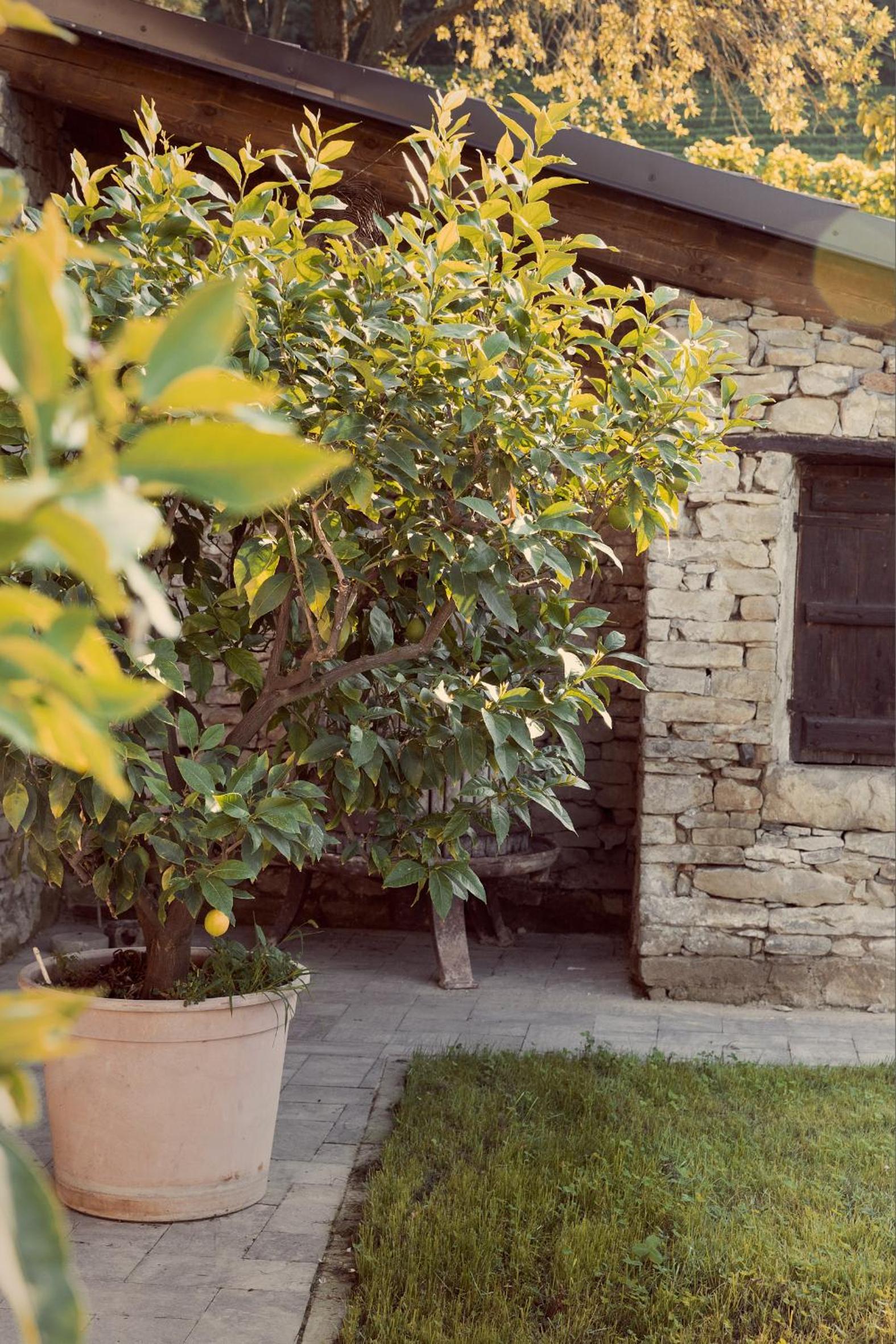 Photo 51