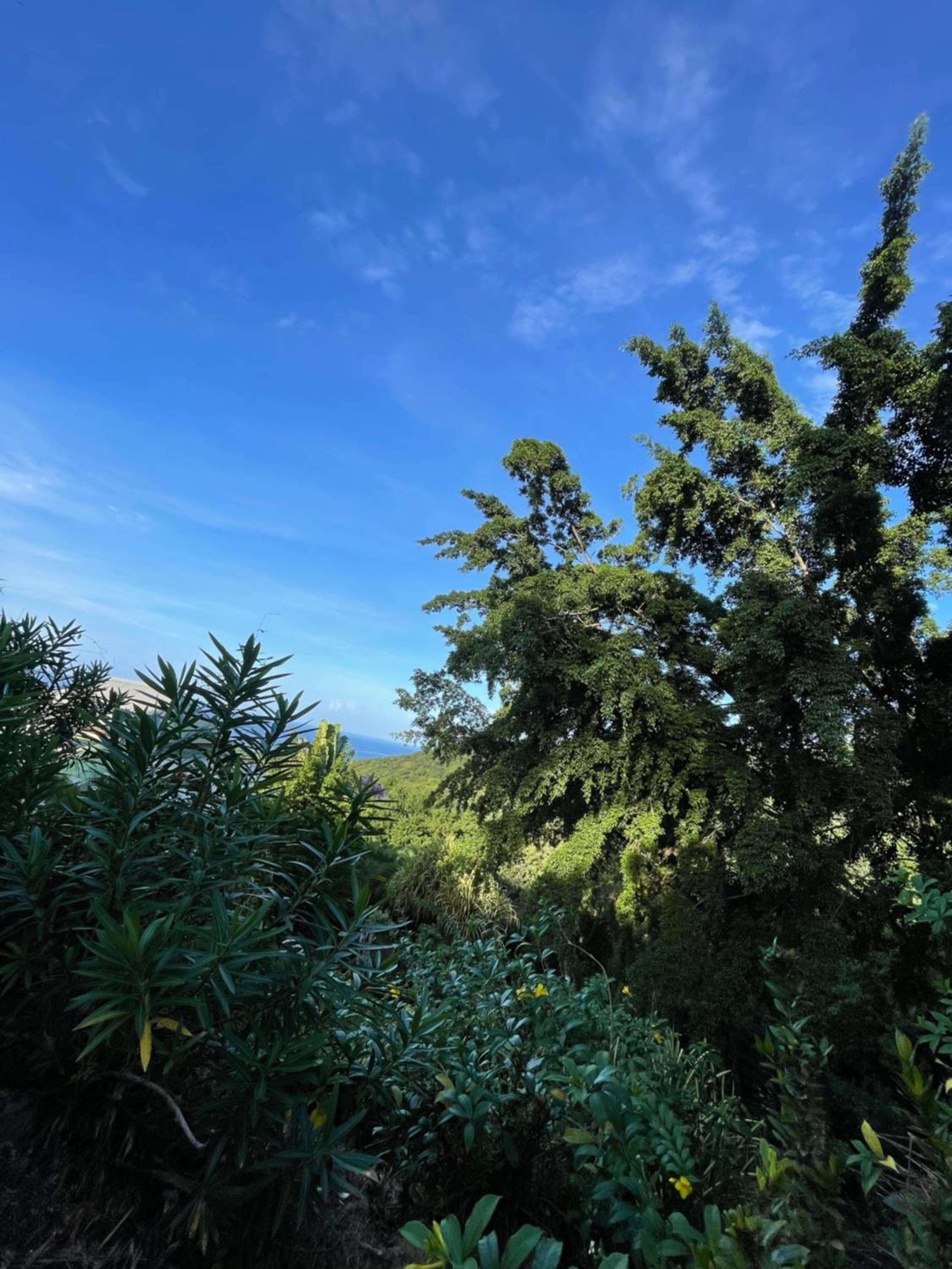 Les Hauts de Grand Case