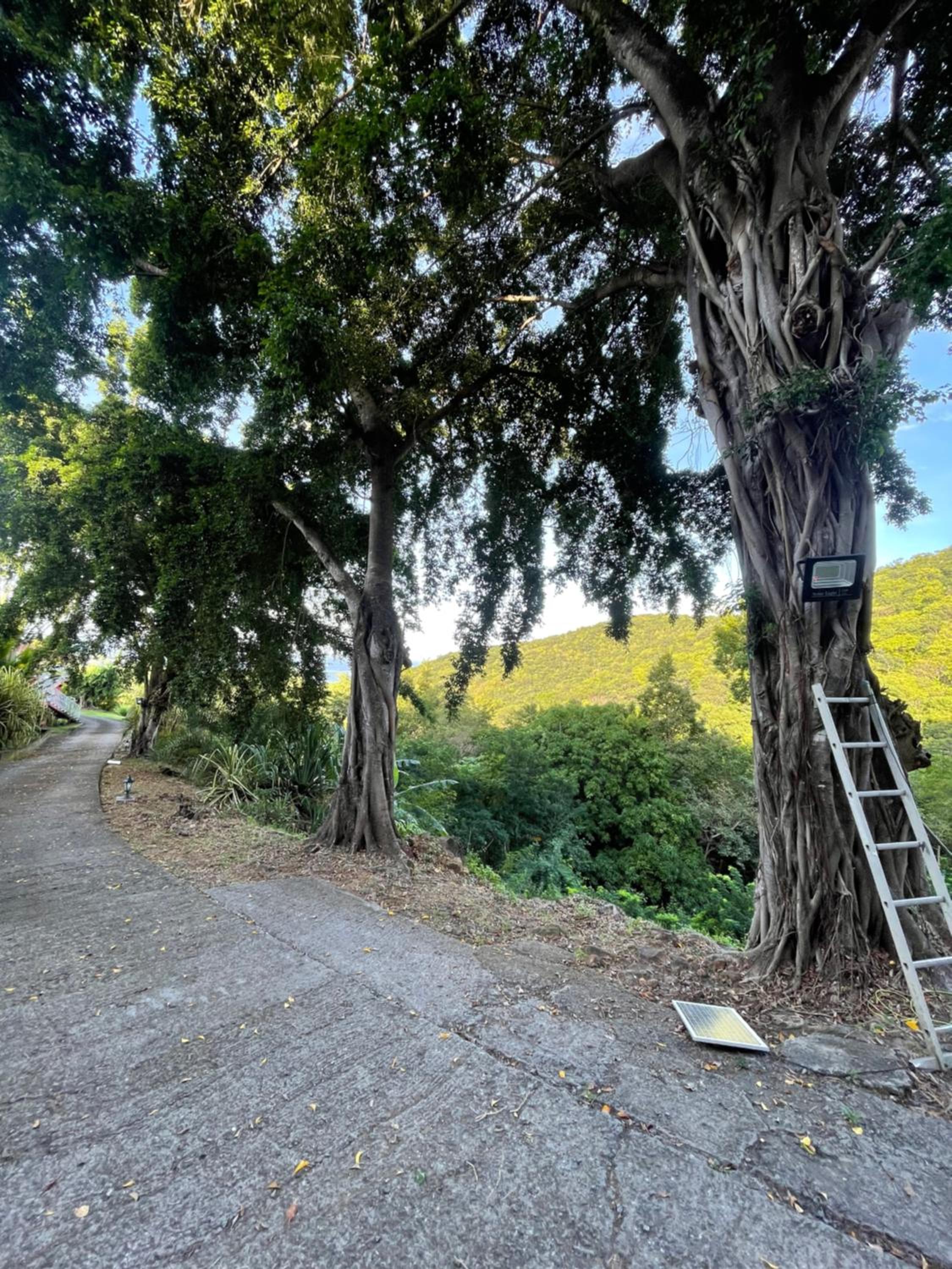 Les Hauts de Grand Case