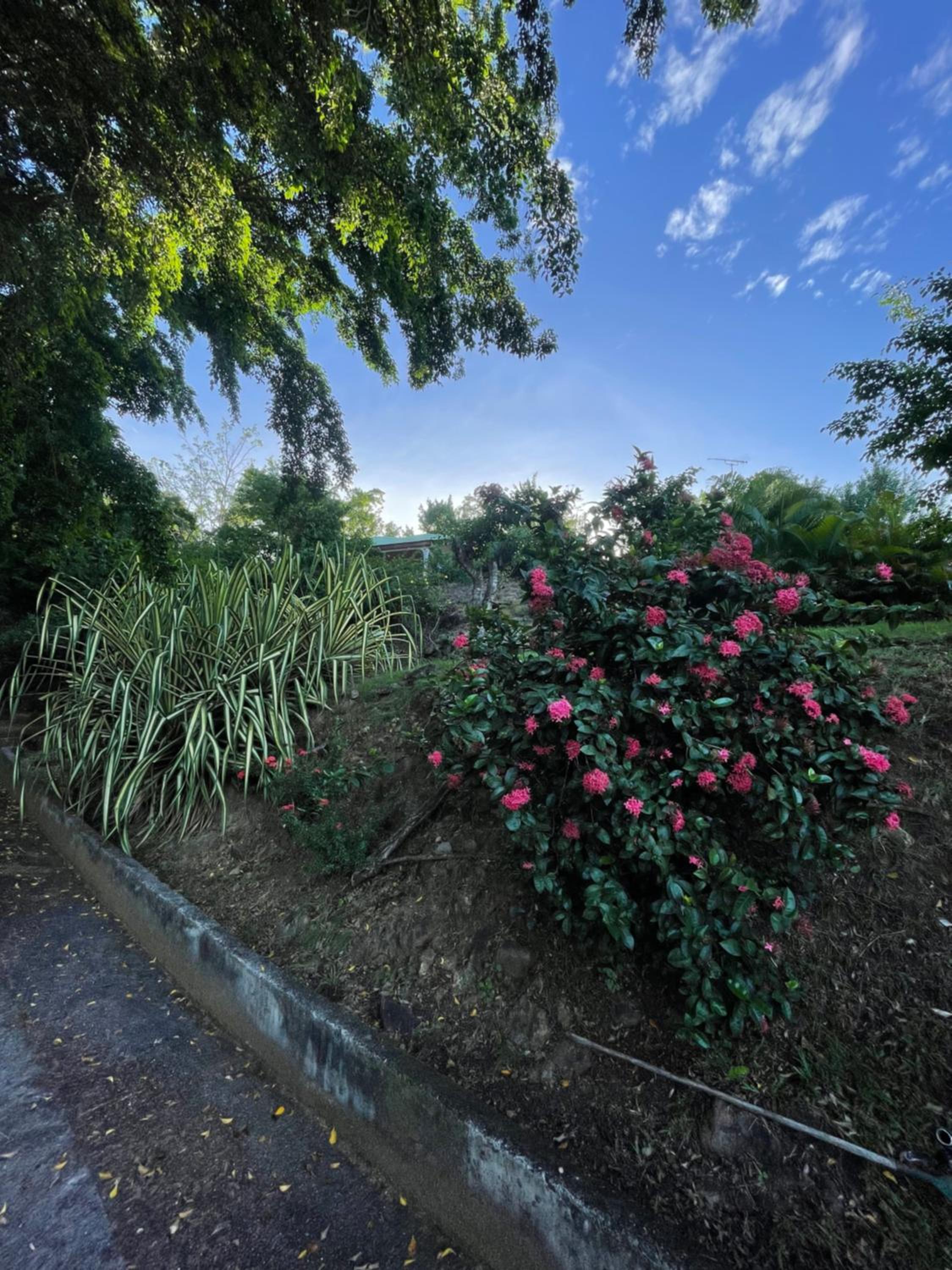 Les Hauts de Grand Case