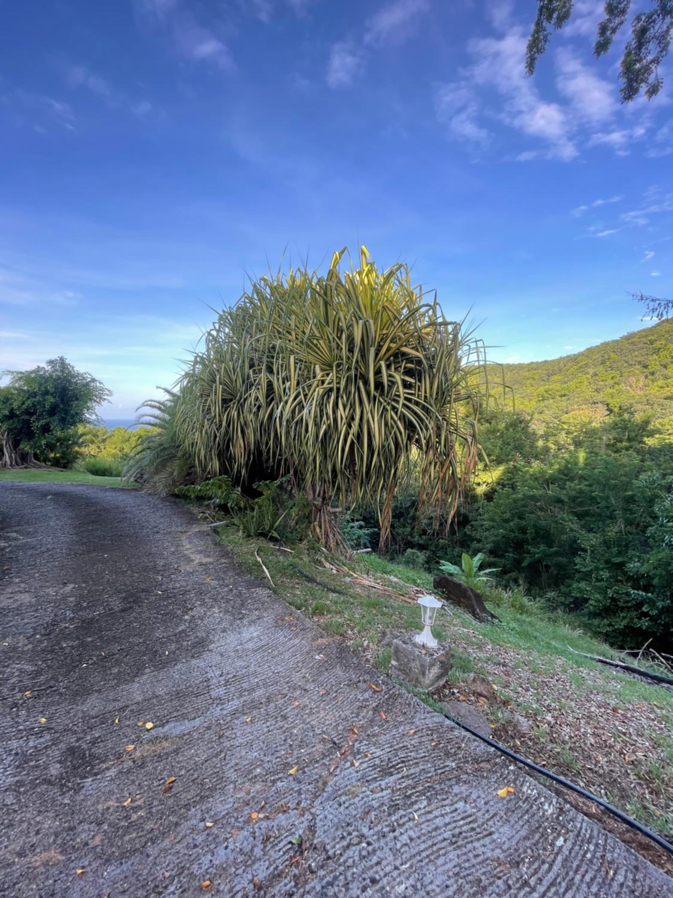 Les Hauts de Grand Case