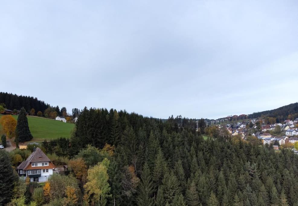 Exklusives Ferienhaus am Waldrand mit Whirlpool und Sauna