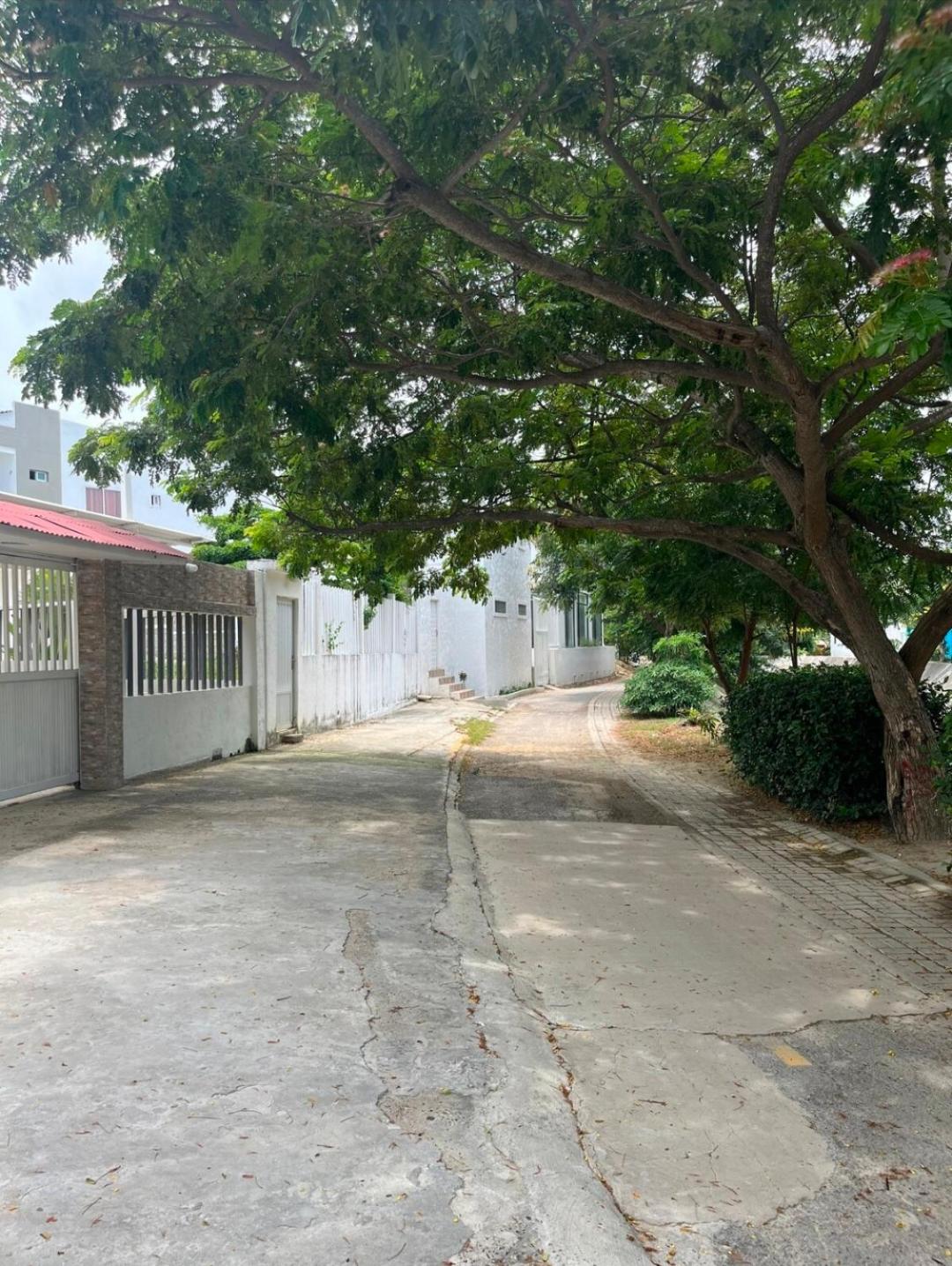 Casa Palma