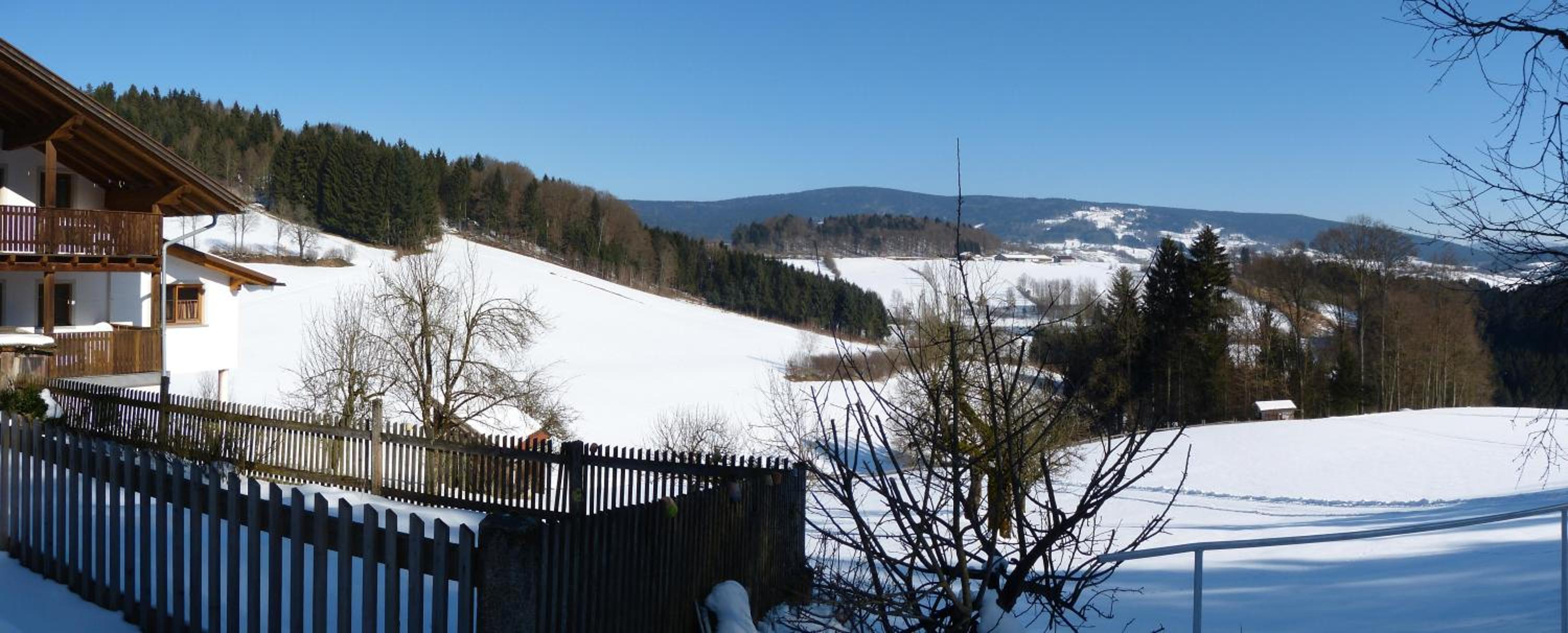 Ranzinger Hof
