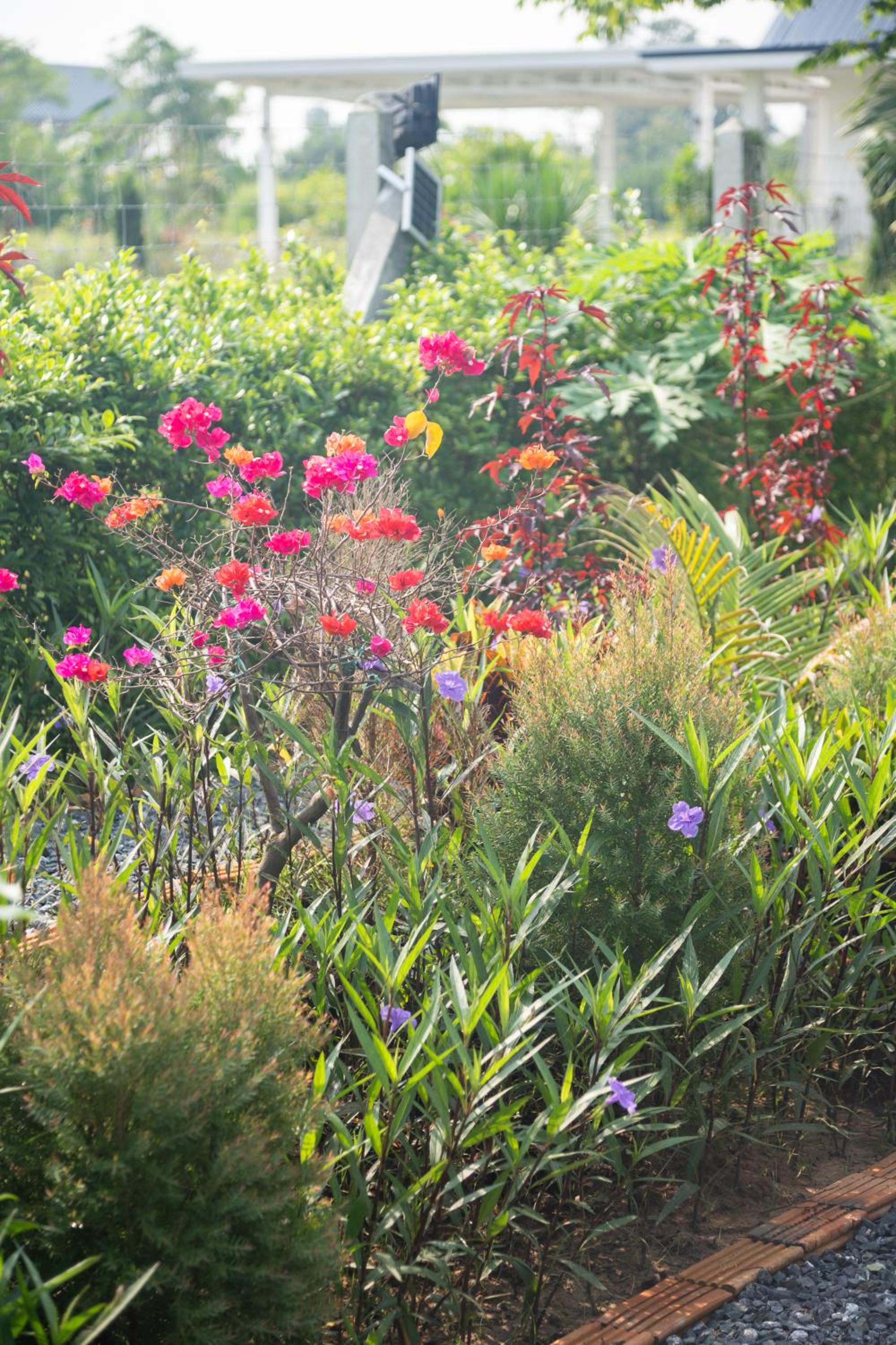 The garden pool villa resort at Doi Saket