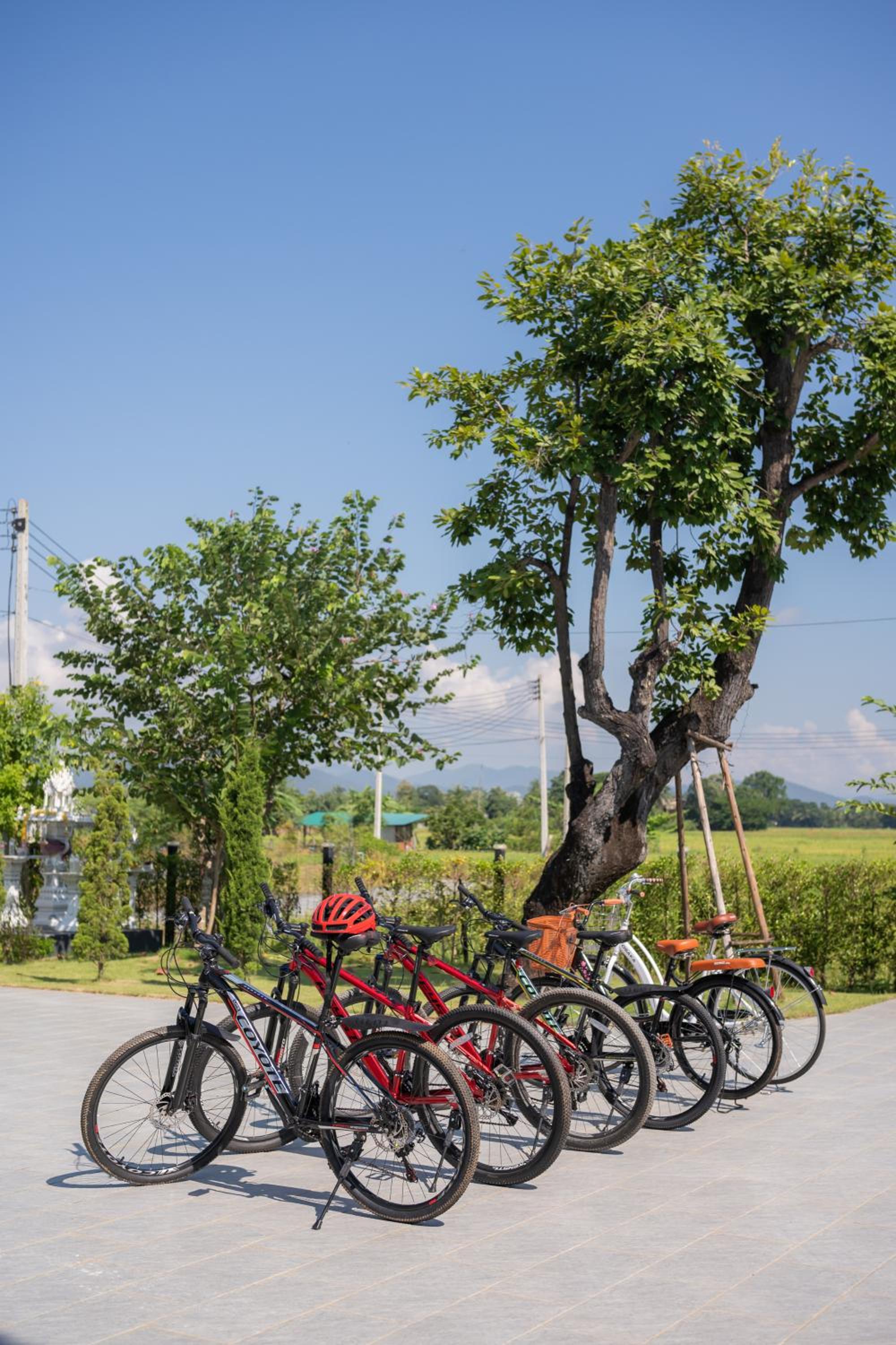 The garden pool villa resort at Doi Saket